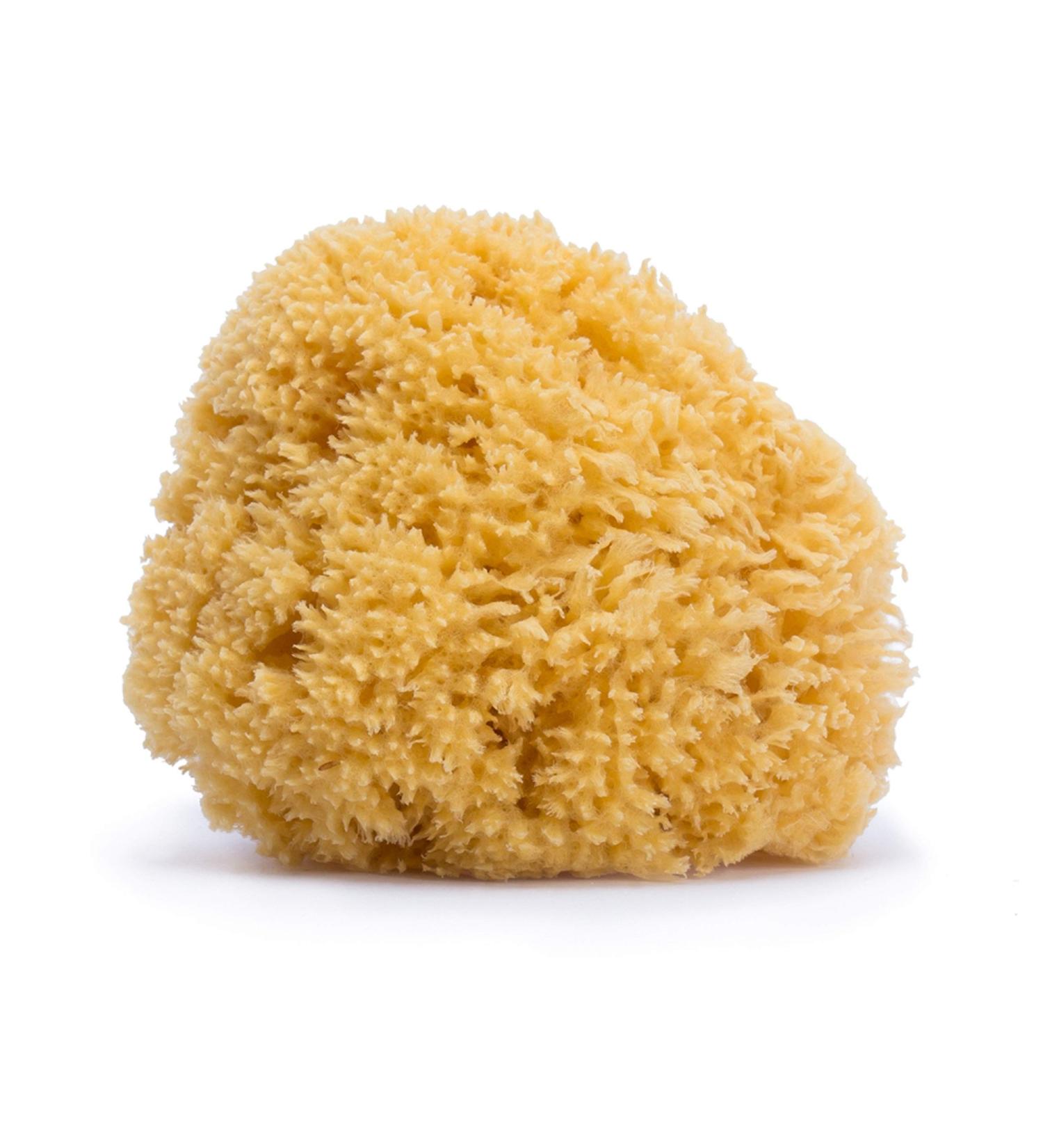 Suavi Esponja Natural Grande +0m | Eco-Friendly & Gentle for All Ages - Shop Internationally - Buy Online on GoSupps.com