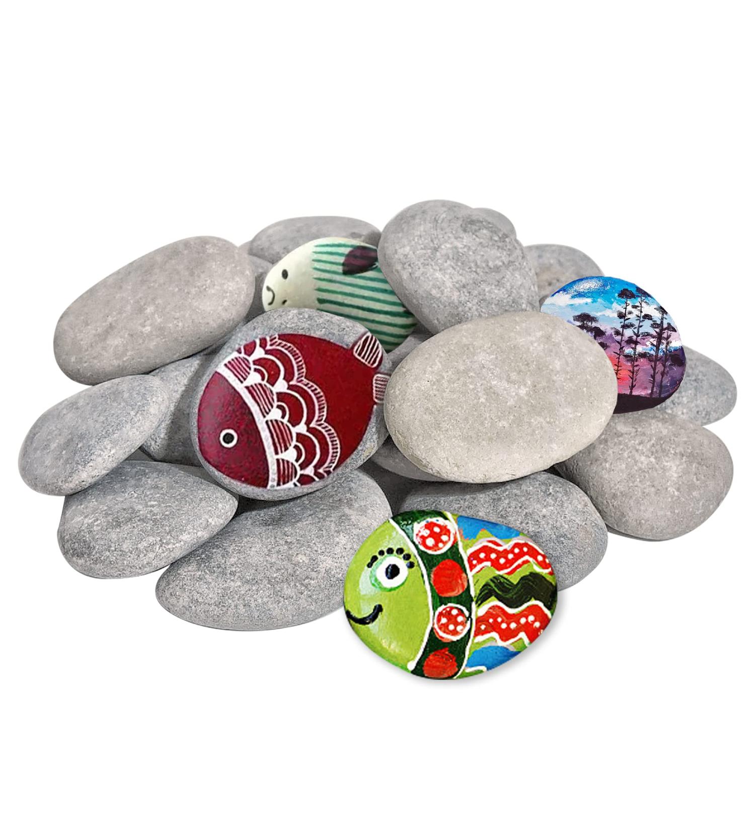 DALTACK 15PCS Large River Rocks for Painting - 2-3 Inches DIY Flat Stones for Hand-Painted Art - Buy Online on GoSupps.com