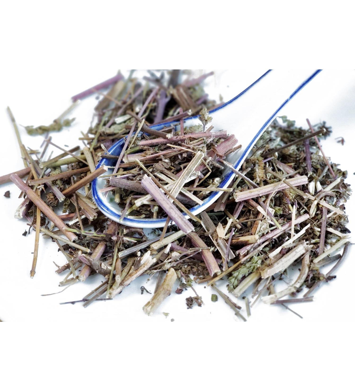 TCM Herbs USA Jing Jie Geng / Herba Schizonepetae / Schizonepeta Stem (16 oz)
