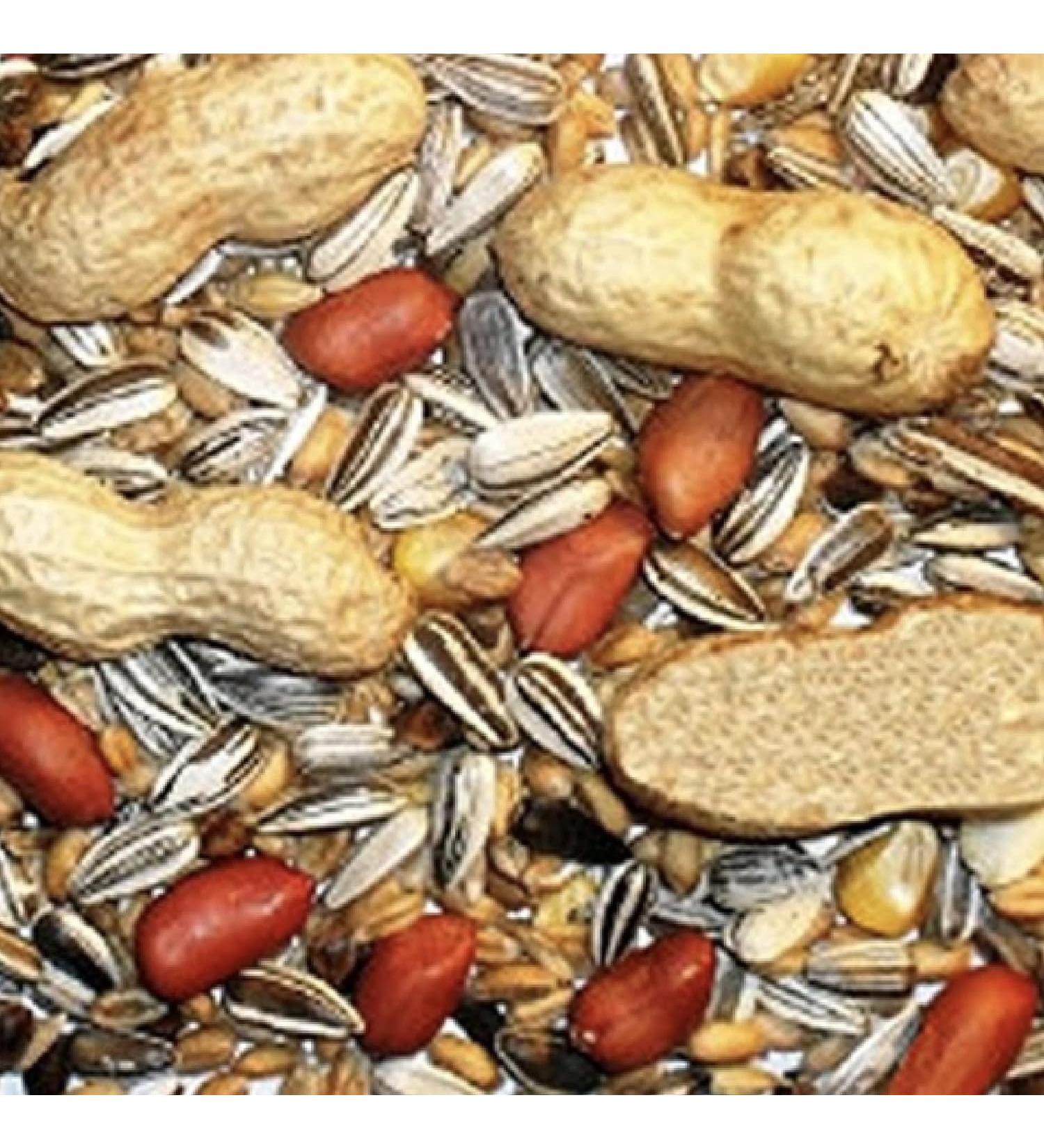 Squirrel Mixture 200g Premium Wild Life Food Garden Seed Feed - SLW - Buy Online on GoSupps.com