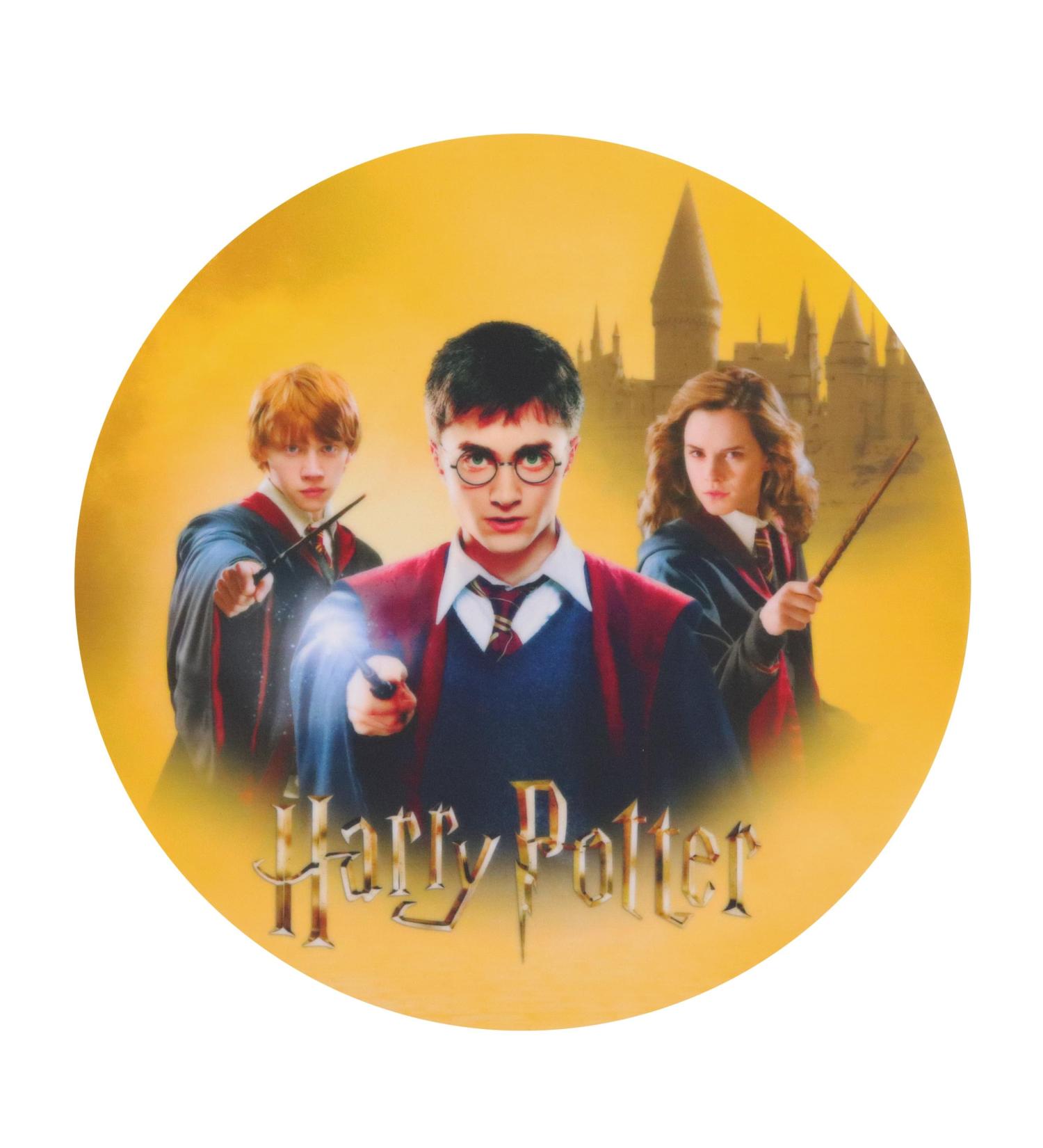 PME Harry Potter Small Sugar Sheet Cake Topper - Magical Decoration for Your Celebration - Buy Online on GoSupps.com