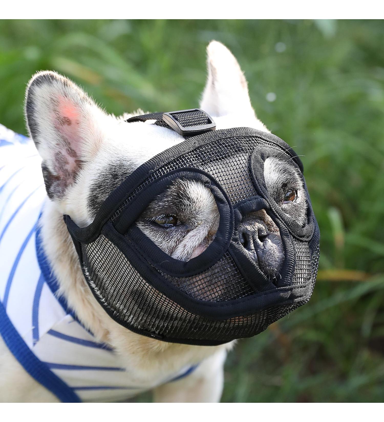 BARKLESS French Bulldog Muzzle Short Snout Dog Muzzle with Breathable Mesh for Shih Tzu and Pug Mask Frenchie Muzzle for Biting Chewing Licking Ideal for Grooming Vet Visits (XS Black) Black XS - Buy Online on GoSupps.com