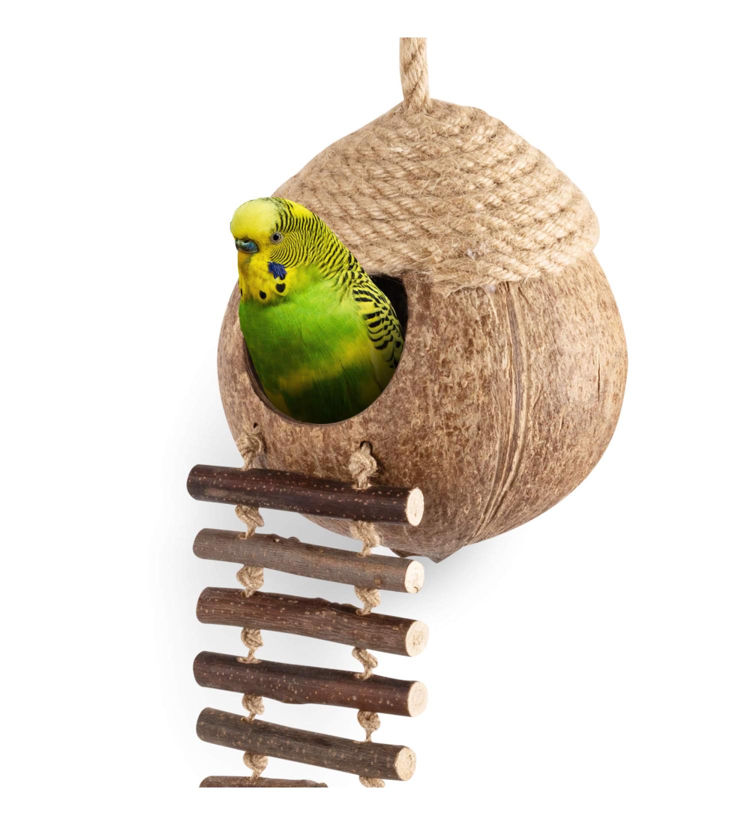 Coconut Bird Nest Hut with Ladder for Parrots, Parakeet, Conures, Cockatiel - Small Animal House Cage Decor - Buy Online on GoSupps.com