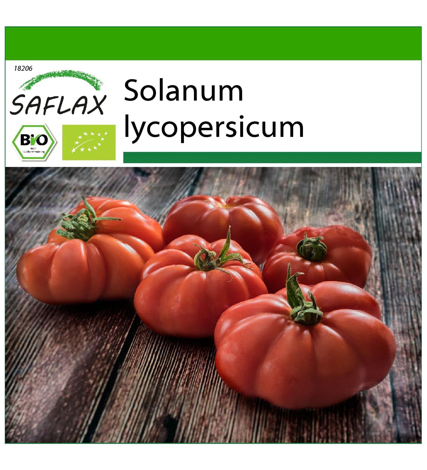 SAFLAX - ORGANIC - Tomato - Marmande - 10 seeds - With aseptic growing medium - Solanum lycopersicum - Buy Online on GoSupps.com
