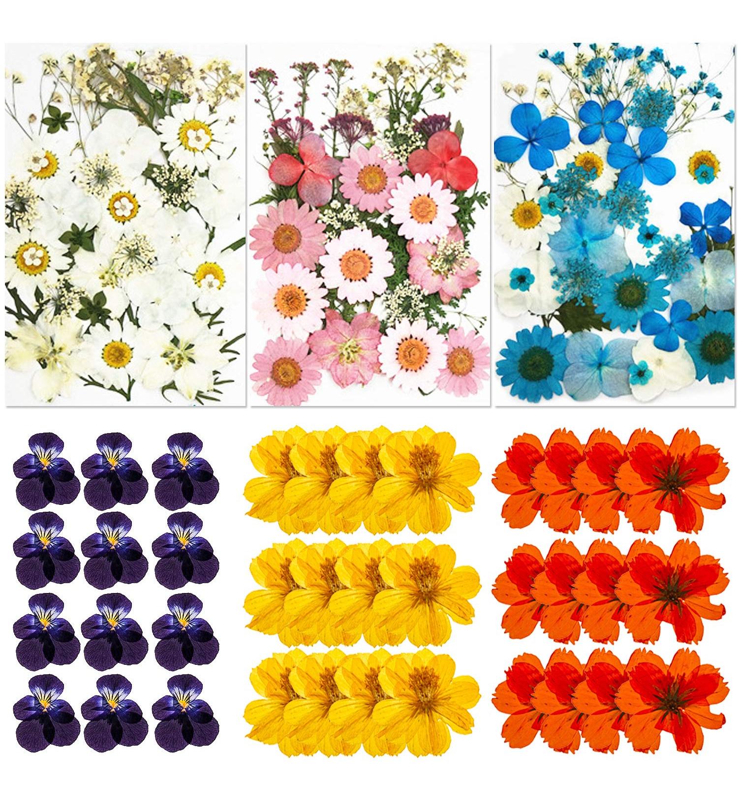 135 Pcs Natural Dried Pressed Flowers & Leaves Set for DIY Resin Jewelry, Candle, Nail Art - White Blue Pink Daisy Decoration - Buy Online on GoSupps.com