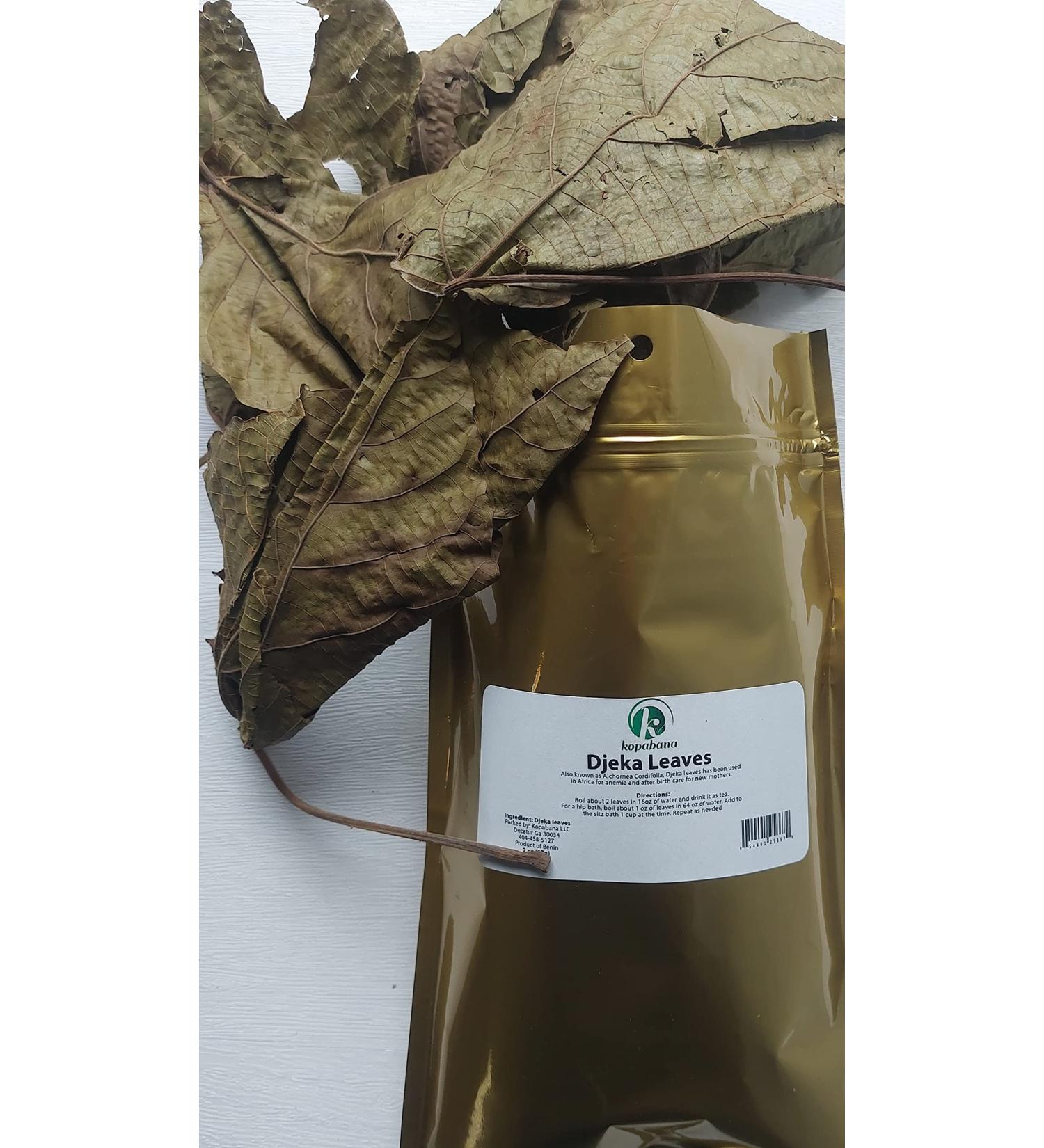 KOPABANA GREEN Djeka Leaves 1oz - Alchornea Cordifolia Dry Leaves for Yoni Care | Christmas Bush V Steam Herbs - ogymama - Buy Online on GoSupps.com