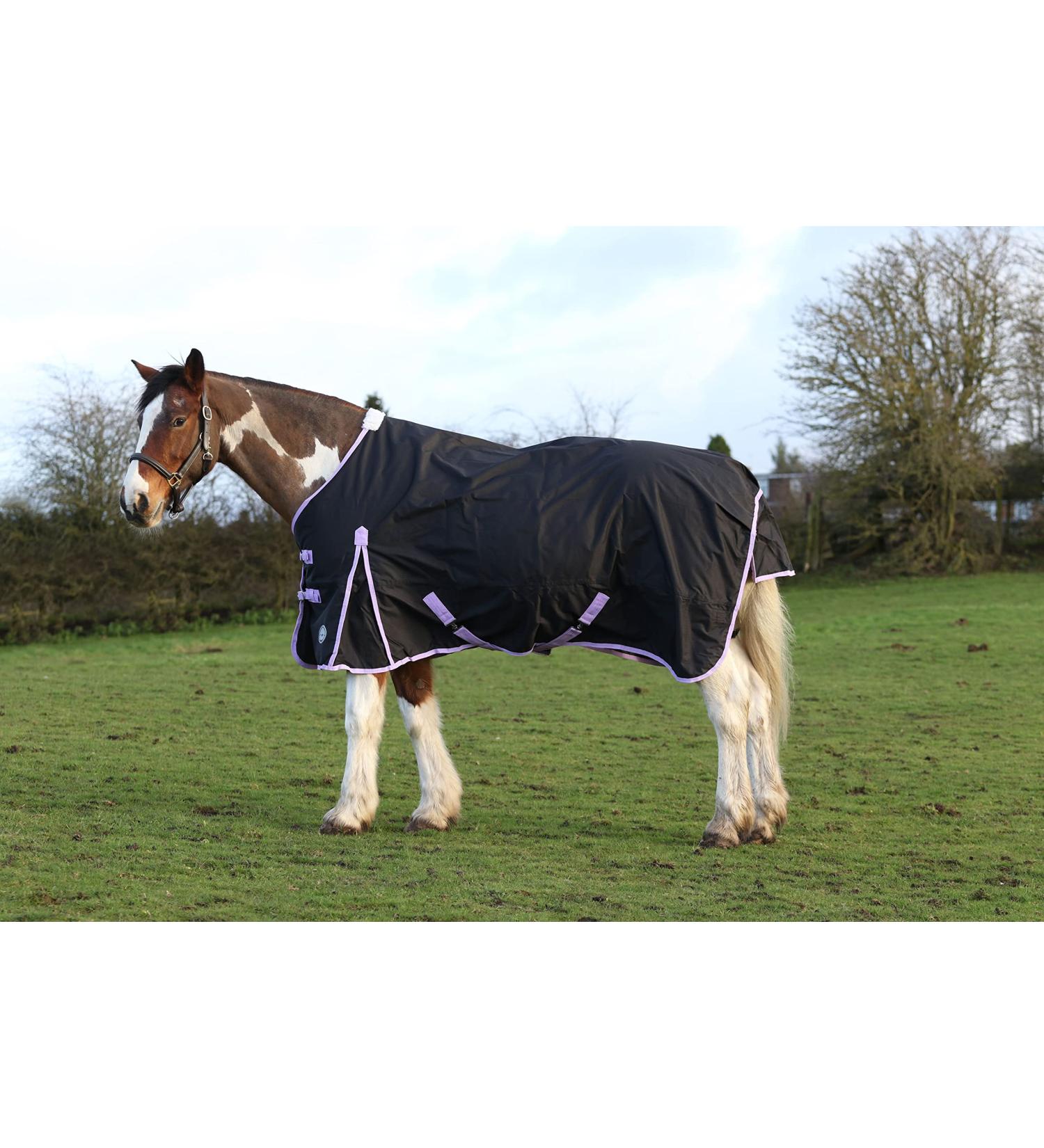 JUMP EQUESTRIAN 50G FILL HORSE TURNOUT RUG LIGHTWEIGHT STANDARD NECK HORSE RUG WATERPROOF (5'9'' BLACK) 5'9'' BLACK - Buy Online on GoSupps.com