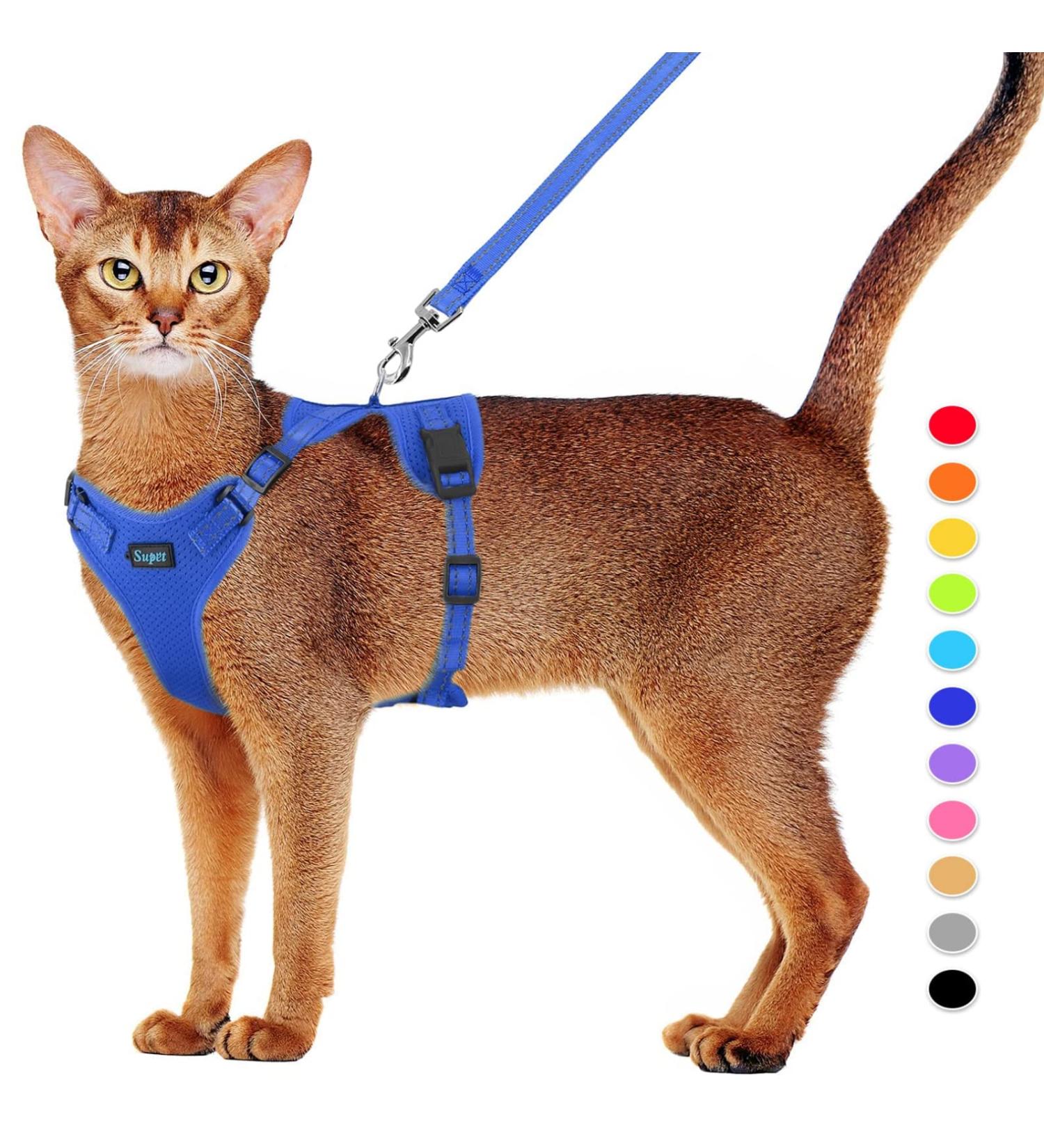 Supet Cat Dishes & Leash Set - Blue Swinging Kitten Harness with Reflective Stripes | Universal Fit for Cats/Puppies (44.5-49.5 cm) - Buy Online on GoSupps.com