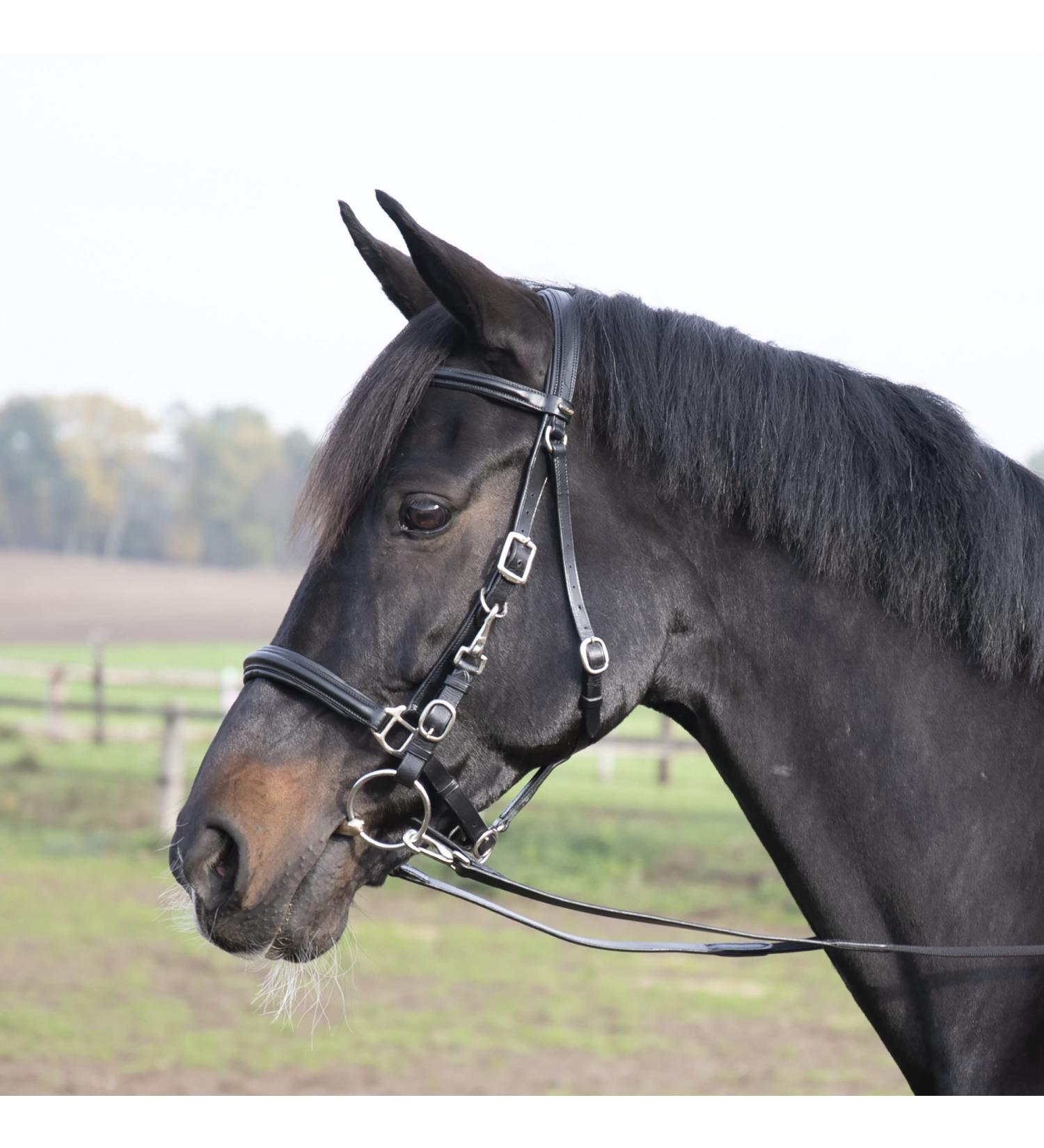 Solibel Trekking Bridle Black - Stainless Steel Thoroughbred Fit | International Shipping Available - Buy Online on GoSupps.com