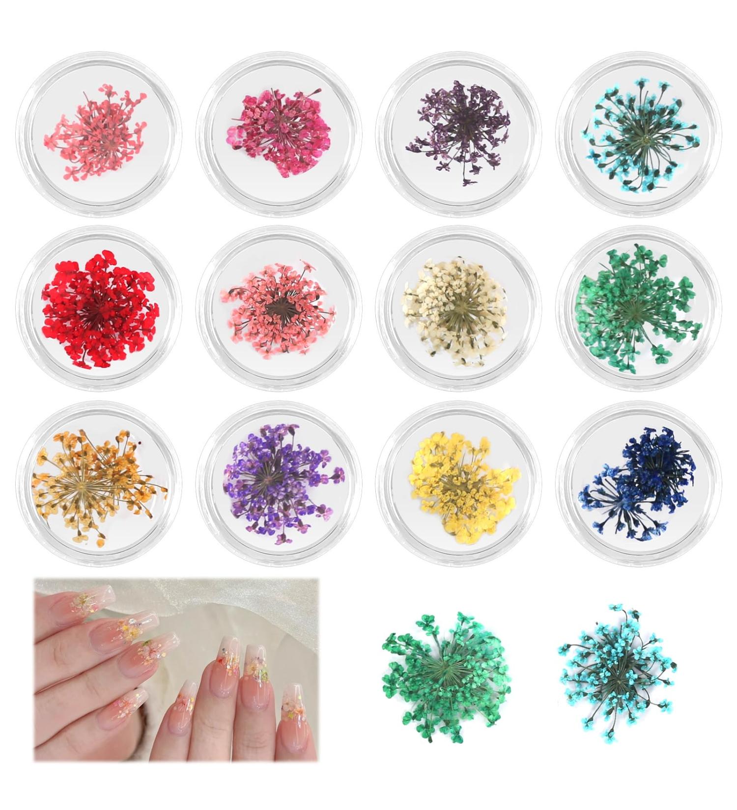 12 Boxes Dried Flowers for Nail Art | Nail Decorations & Flower Kit for Stunning Nail Designs - Buy Online on GoSupps.com
