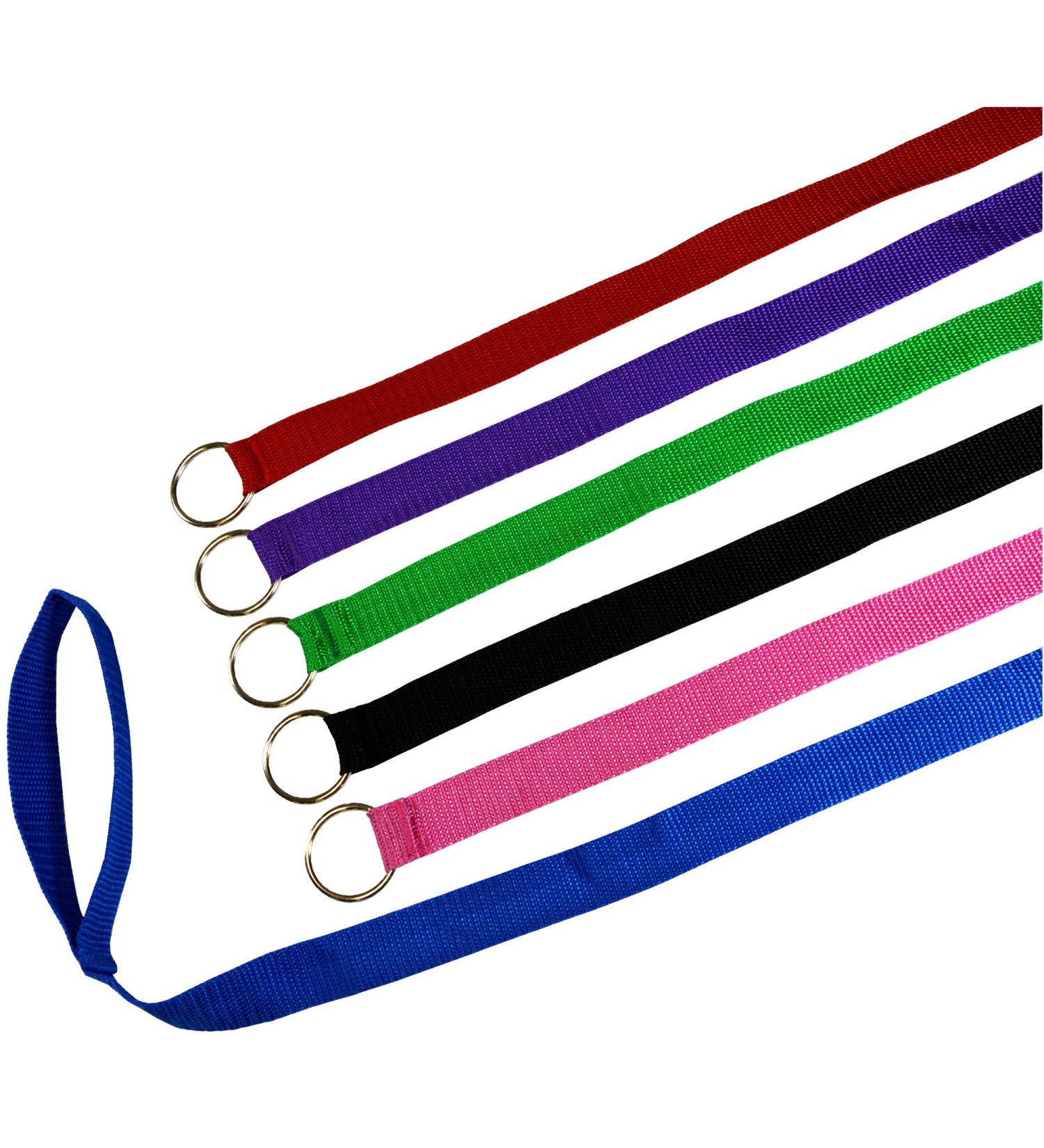 Downtown Pet Supply 6ft Dog Kennel Slip Lead Leash - Veterinarian Approved for Grooming, Daycare & Rescue - Bulk Pack of 6 Thick Leashes for Dogs - Buy Online on GoSupps.com