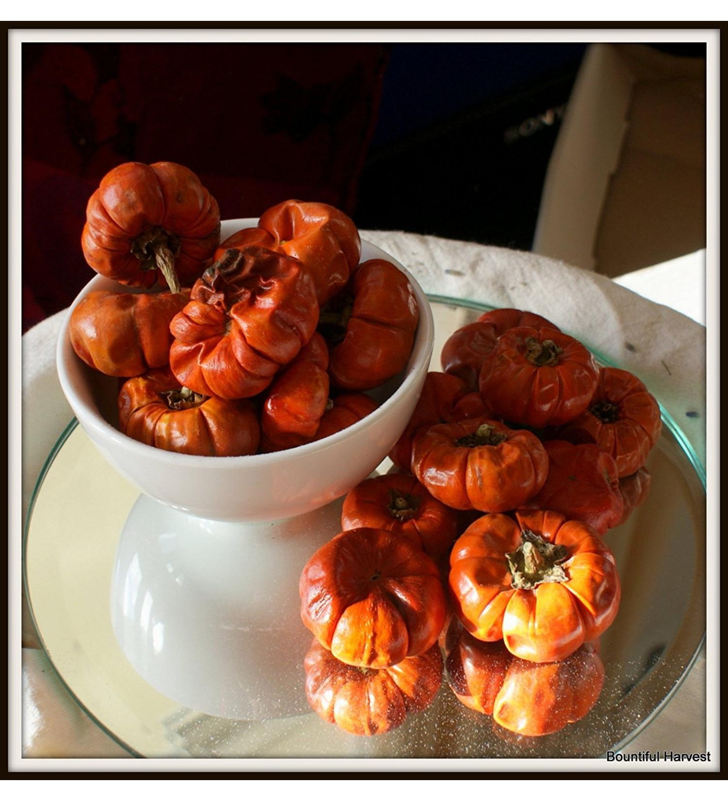 Bountiful Harvest Decorative Fruits for Christmas Decorations and Wreaths (All Fruits (Dried Mini Pumpkins 250g)