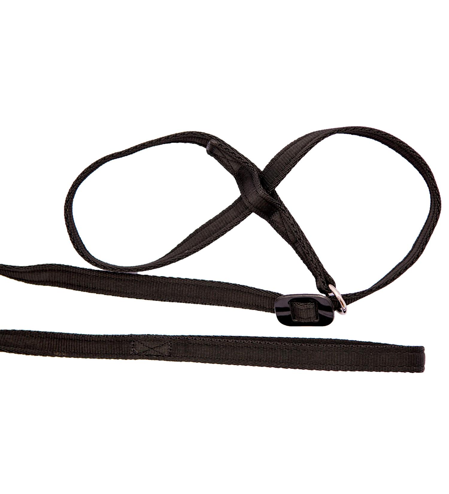Gencon All-in-1 Headcollar and Lead Right-handed Black - Buy Online on GoSupps.com