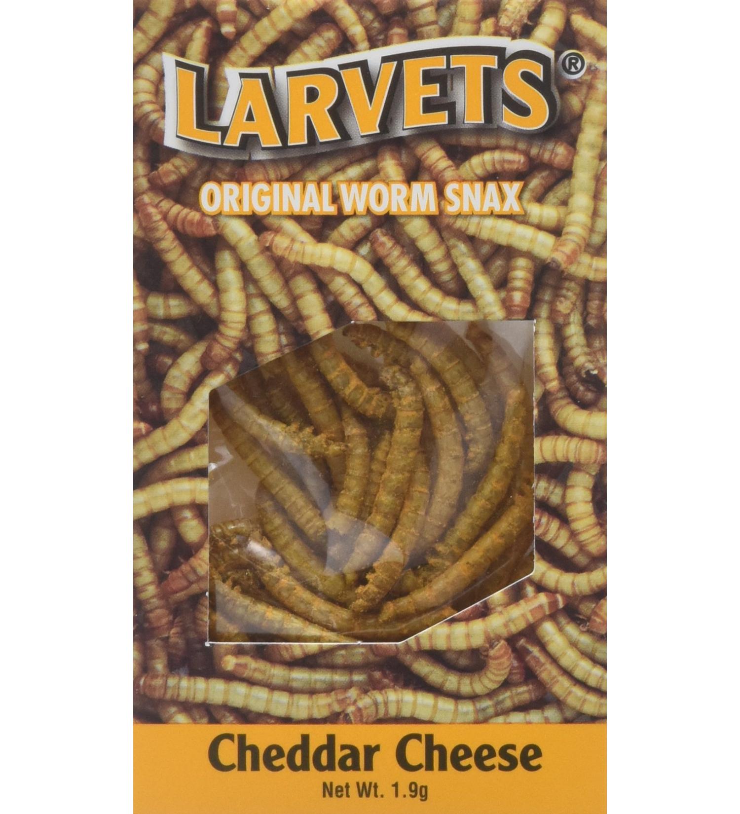 Hotlix Larvets Cheddar Cheese - Crunchy Edible Insects Snack - Buy Online on GoSupps.com