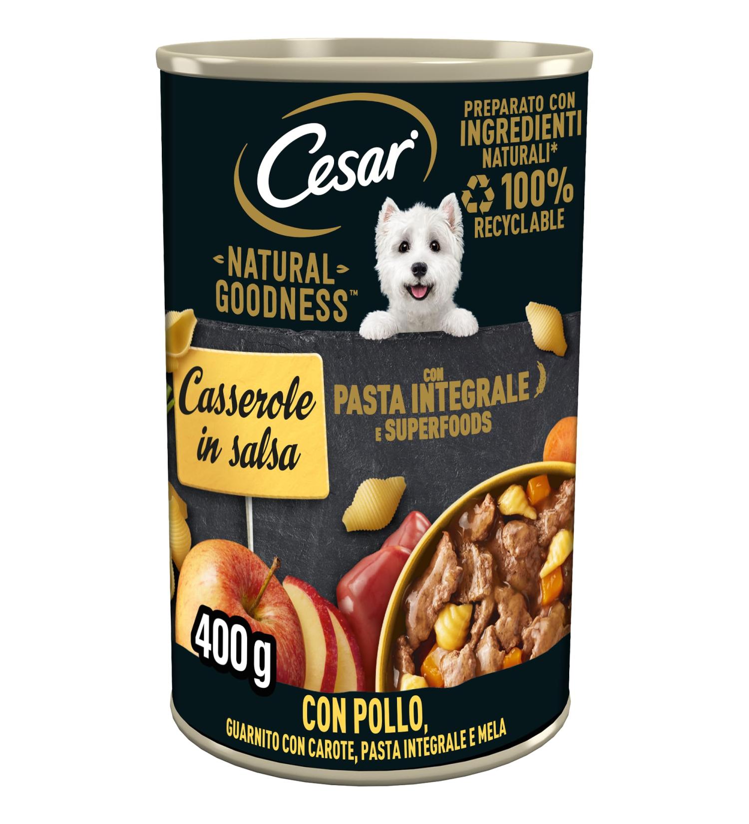 Cesar Natural Goodness Casserole Wet Food for Dogs with Chicken and Whole Grain Pasta Flavor in Sauce 6 Cans of 400 g Total 2.4 kg - Buy Online on GoSupps.com