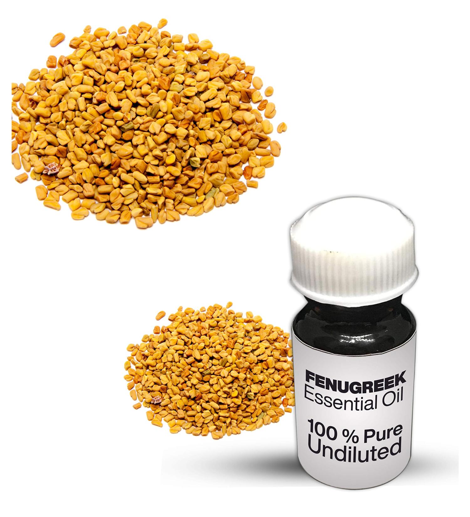 Fenugreek Essential Oil / 100% Pure Fenugreek Undiluted Essential Oil Premium Quality (100 ml)