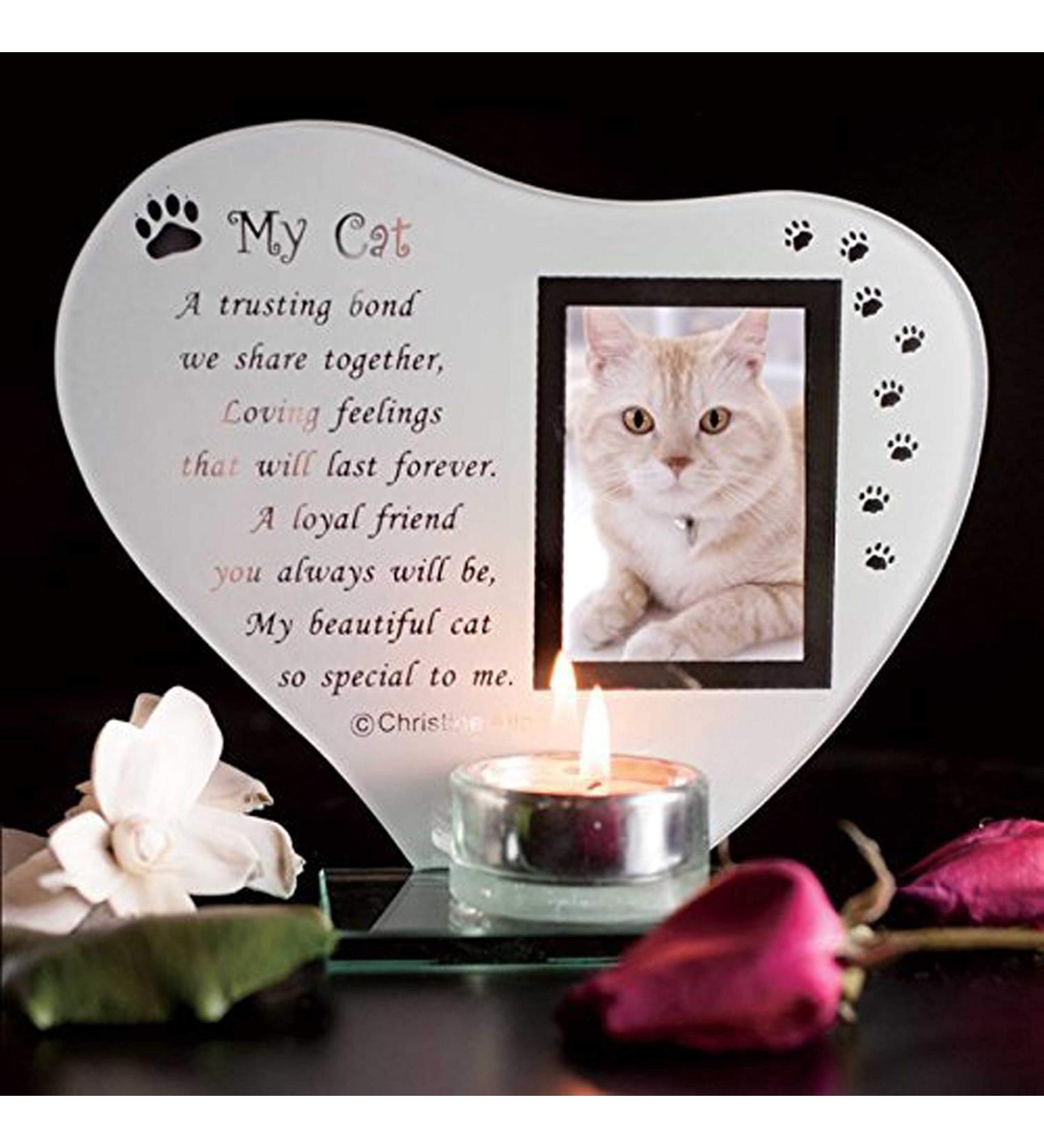 Budgetline Special Cat Keepsake Grave Memorial Glass Ornament Cat Plaque Poem Candle Photo holder