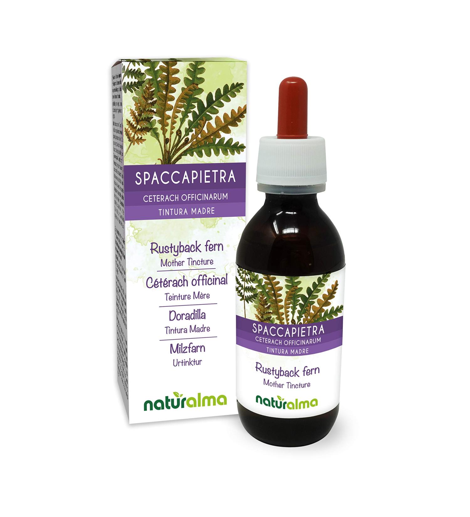 Spleen Fern Mother Tincture | Alcohol-Free Liquid Extract Drops | Vegan Dietary Supplement | Naturalma 120 ml - Buy Online on GoSupps.com
