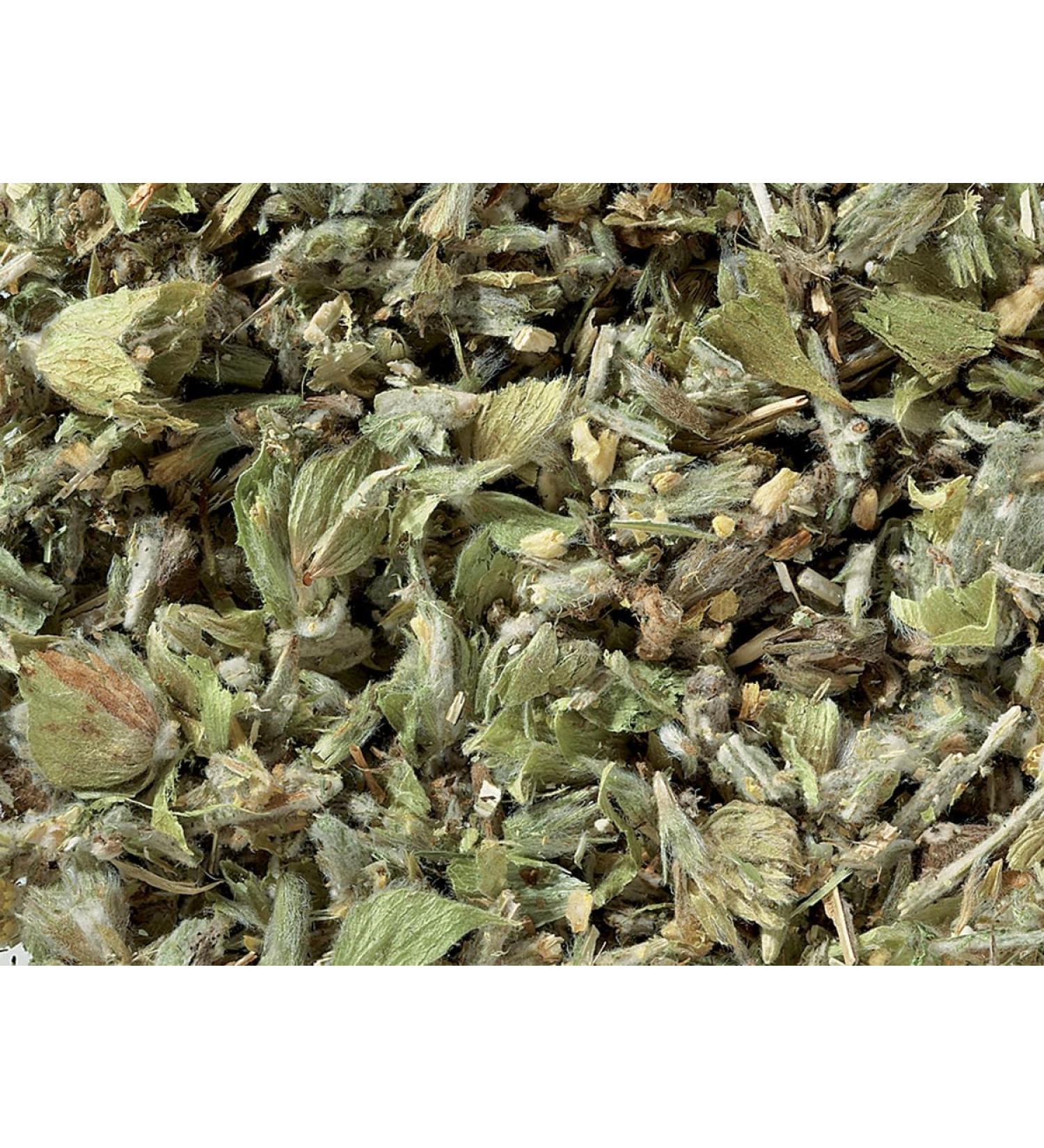 Greek Mountain Tea 200g - Since 1836 | Sideritis Tea | Shepherd's Tea | Loose Leaf Herbal Tea - Buy Online on GoSupps.com