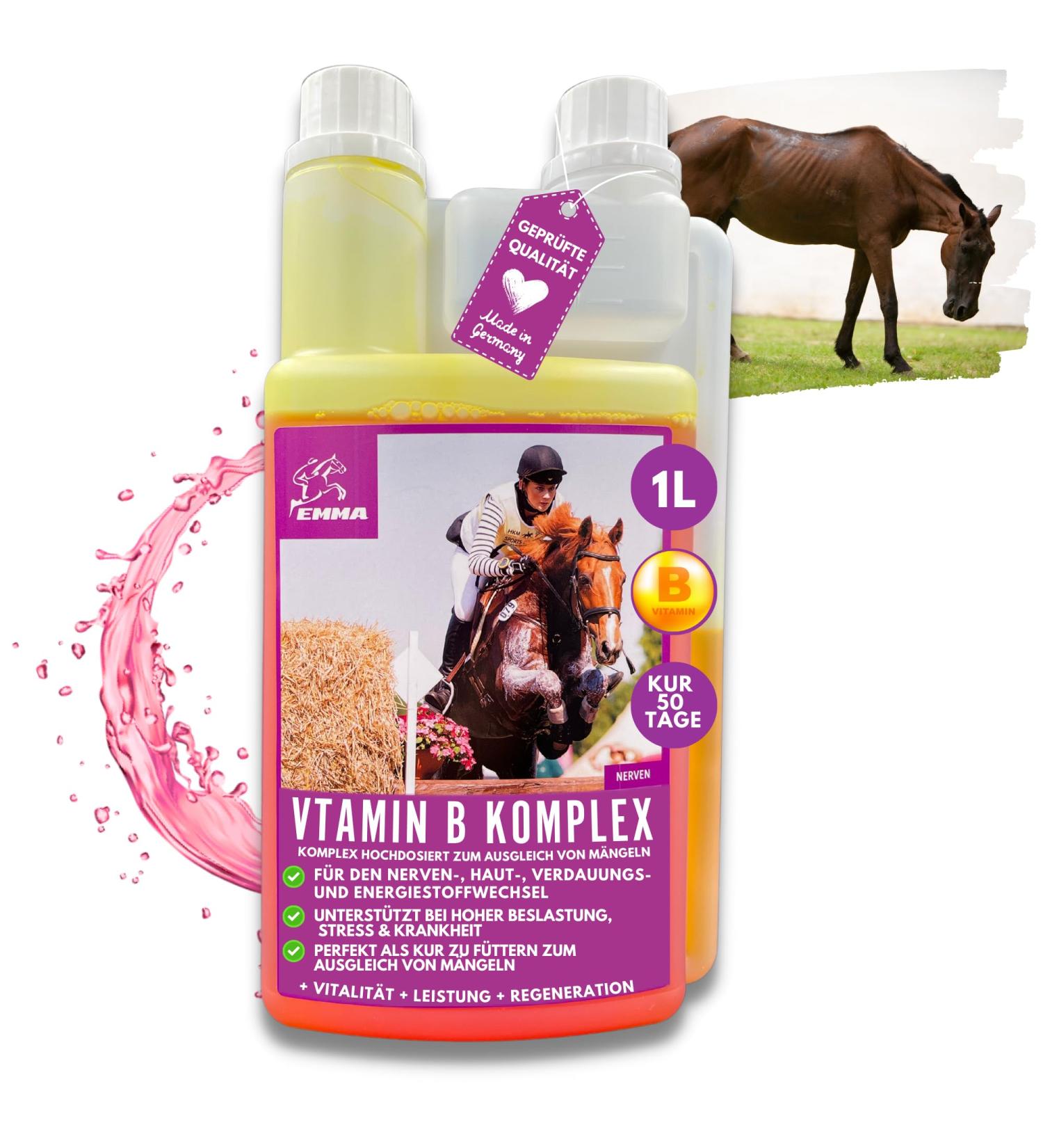 Vitamin B Complex for Horses - 1L Liquid | High Dose B1 B2 B6 B12 | Supports Muscles Immune System Nerve Energy & Metabolism - Buy Online on GoSupps.com
