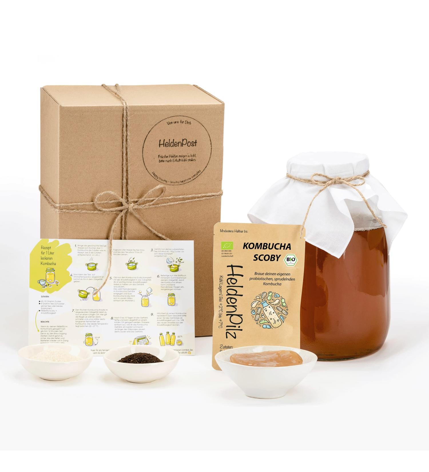 Helden Mazilz Organic Kombucha SCOBY | 100% Natural Tea Mushroom Kit | Makes Up to 6 Liters | Sustainable Plastic-Free Packaging | Perfect Gift Set - Buy Online on GoSupps.com
