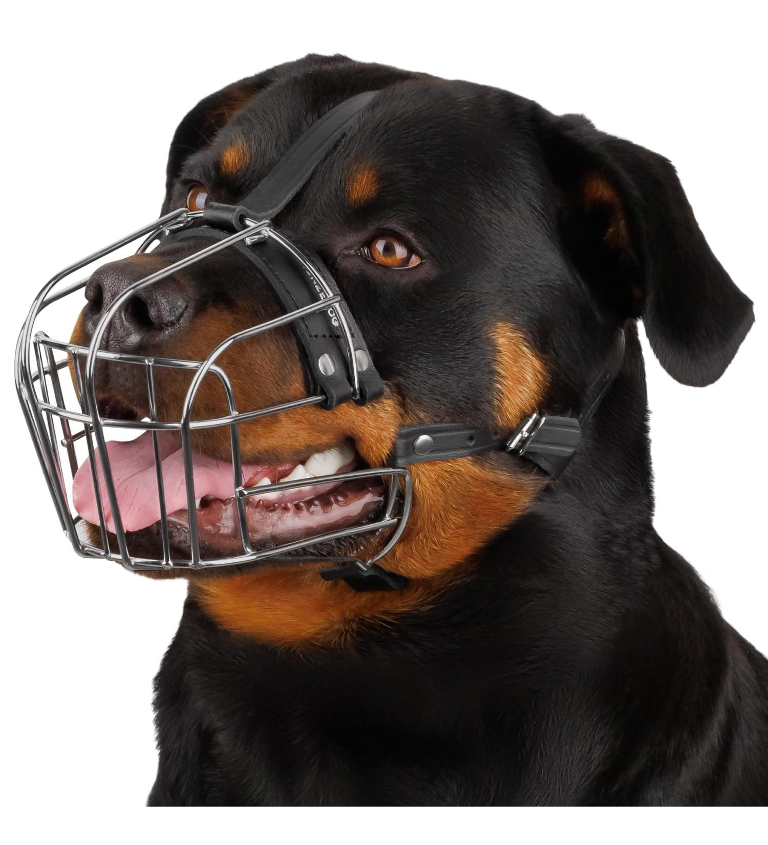 Bronzedog Rottweiler Dog Muzzle - Adjustable Durable Metal Wire Basket for Large Dogs | American Bulldog No Bark Muzzle (L) - Buy Online on GoSupps.com
