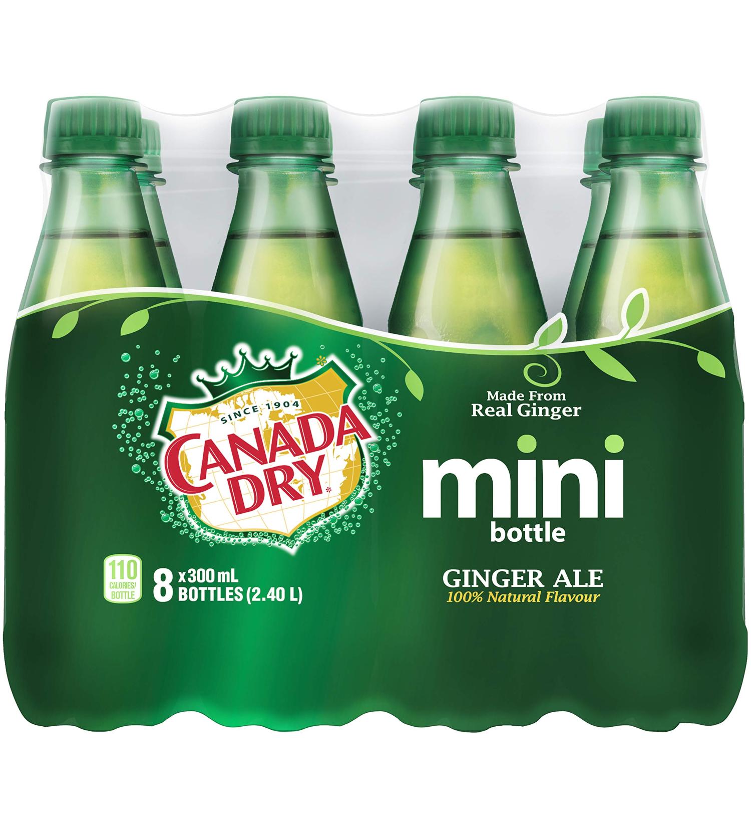 Diet Coke Canada Dry Ginger Ale 300mL Mini Bottles Pack of 8 - Buy Online on GoSupps.com