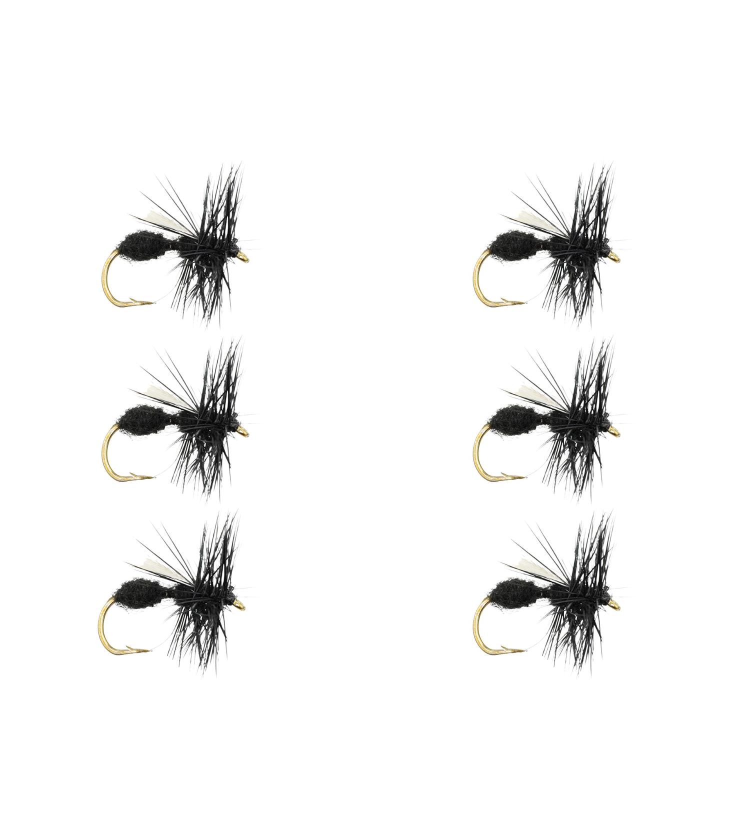 Wild Water Fly Fishing Dry Flies Size 10-14 Black Winged Ant - Trout, Panfish, Lake & River Fish - 6 Pack (Size 12) - Buy Online on GoSupps.com