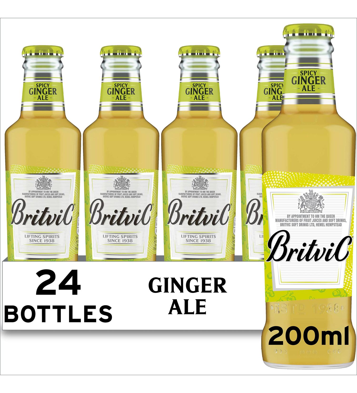  Britvic Britvic Ginger Ale 24 x 200 ml - Buy Online on GoSupps.com