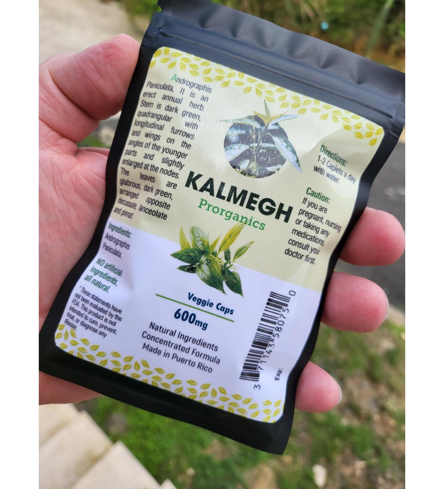 Andrographis paniculata (100 Capsules) 100 Count (Pack of 1)