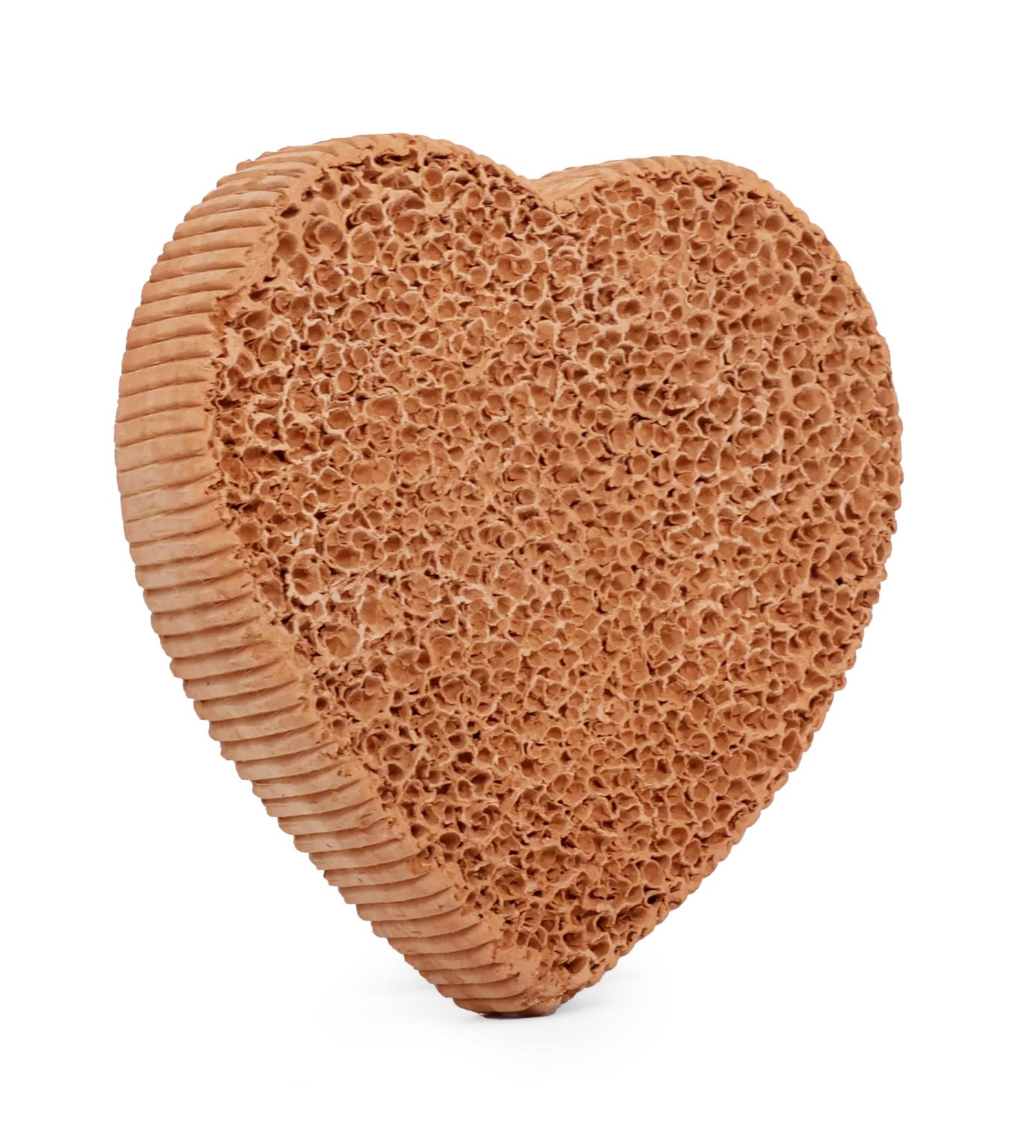 Buy Scrubbies Pumice Stone for Feet | Durable 5+ Years Foot Exfoliator & Callus Remover | Natural Terra-Cotta Design - Buy Online on GoSupps.com