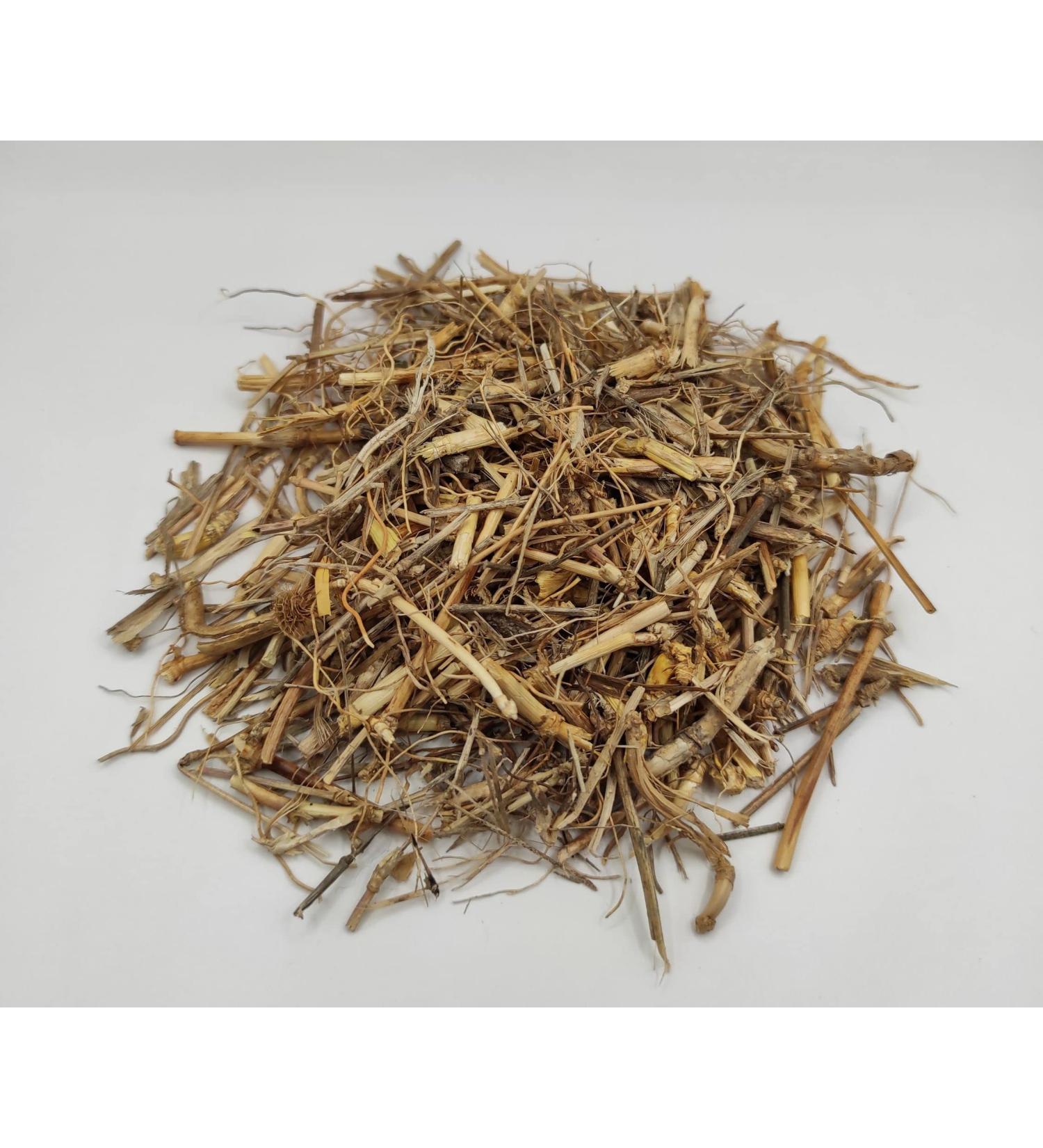 AgoraMarket Dried Bermuda Grass Cut Root 85g to 195KG Class A Cynodon Dactylon 460 grams - Buy Online on GoSupps.com
