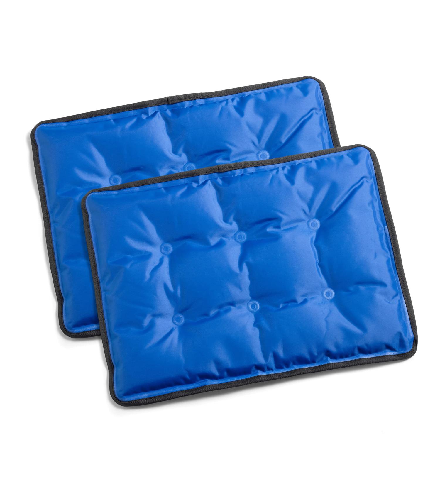 Cool Coolers Flexible Gel Ice Pack Standard Large - Reusable Cold Compress for Sore Muscles, Bruising, and Swelling - 11x14.5 Inch - 2 Count - Buy Online on GoSupps.com