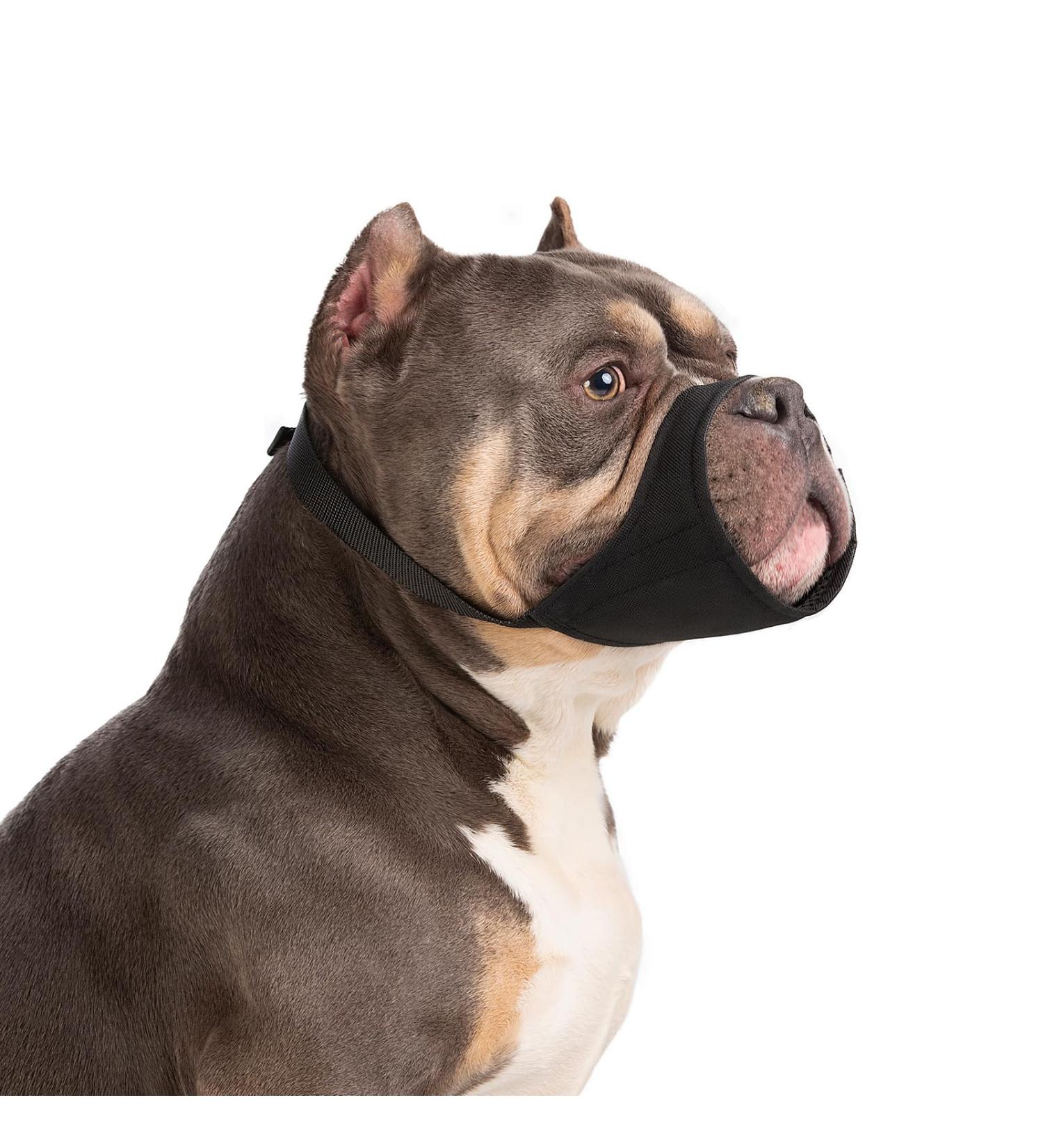 Yoolhamy Dog Muzzle for Pitbulls Rottweilers & Bullies - Soft Comfortable Muzzle for Barking & Biting Prevention - Ideal for Medium & Large Short Snouts - Buy Online on GoSupps.com