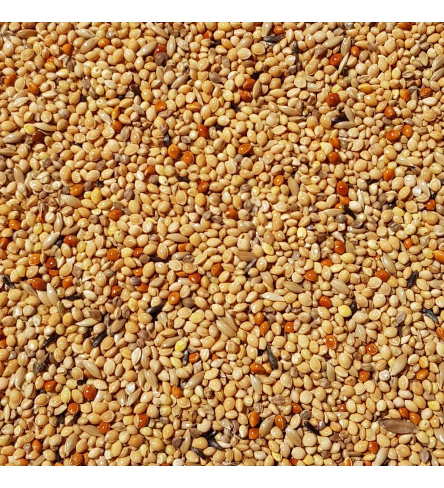 Supravit Exotic Feed 2.5kg | High-Quality Mixed Feed for Exotic Finches | Boosts Feather Health & Mating Readiness - Buy Online on GoSupps.com