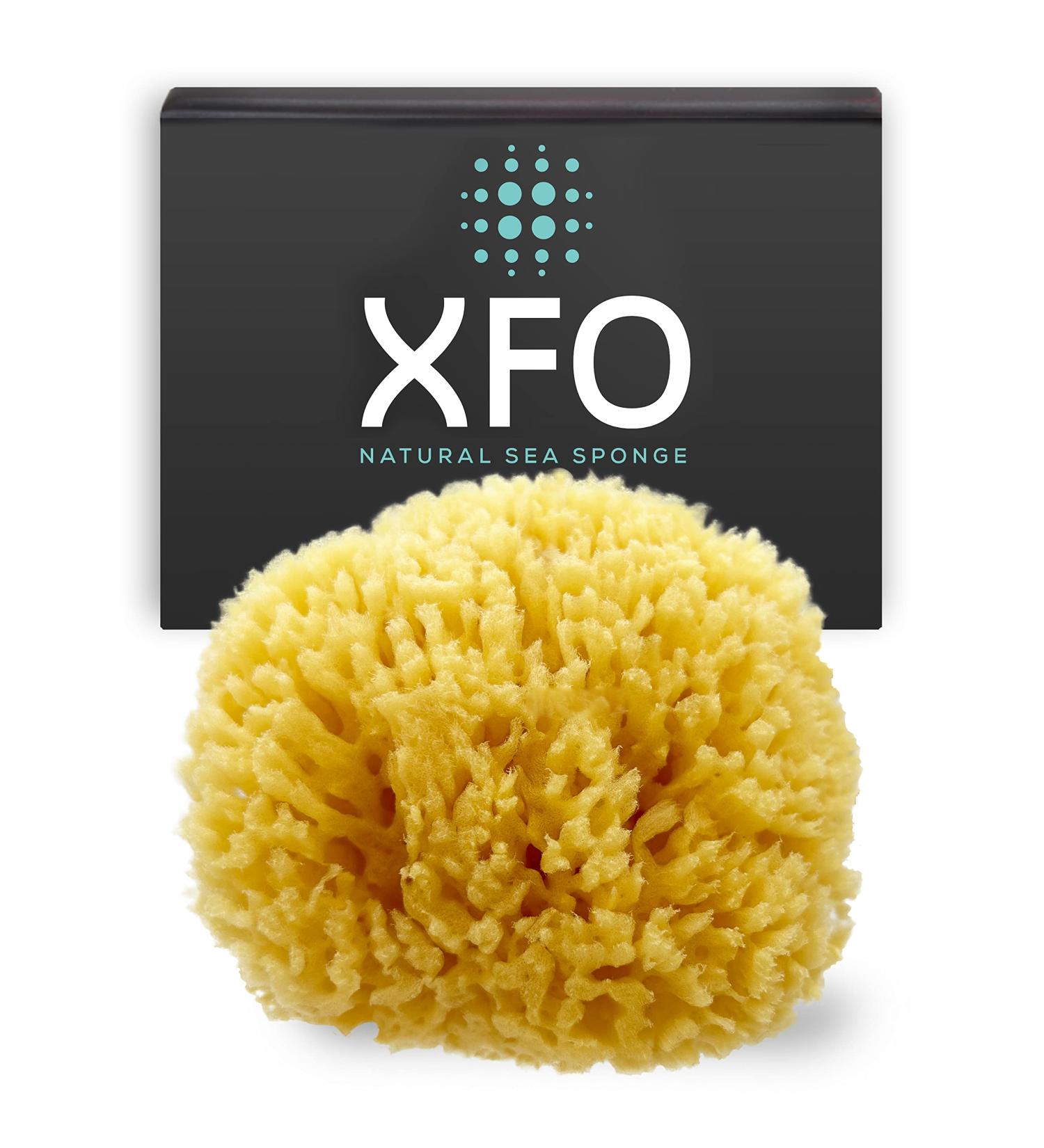 ideelz XFO Sea Sponge (Medium 4.5) - All Natural Yellow Loofah Sponge for Bathing and Exfoliating | USA Grown - Buy Online on GoSupps.com