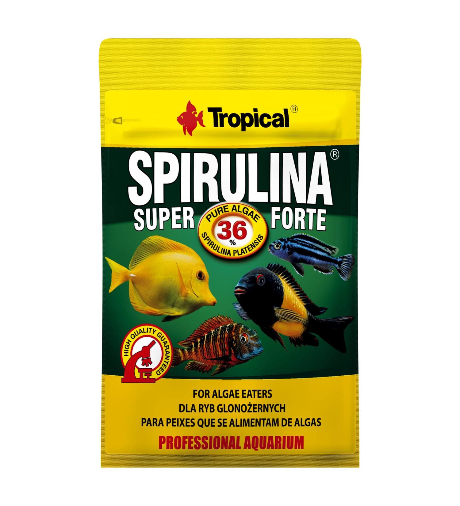 TROPICAL Super SPIRULINA Forte 36% 12g - for Fish with Very Demanding Nutritional Needs, Flakes