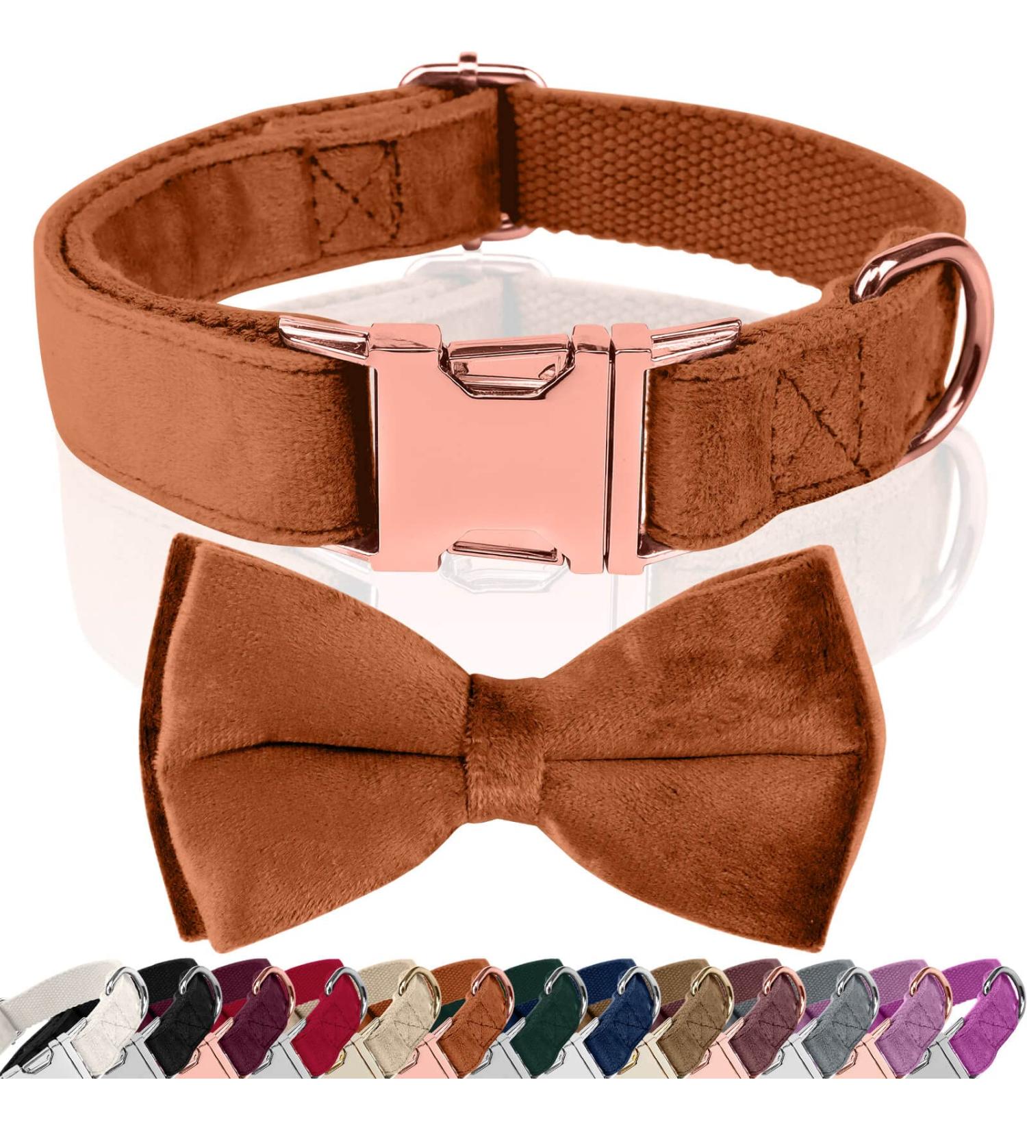 Asvin Velvety Dog Collar with Removable Fly - Soft Comfortable & Multicolored - Perfect for Weddings Birthdays & Parties | International Shipping - Buy Online on GoSupps.com
