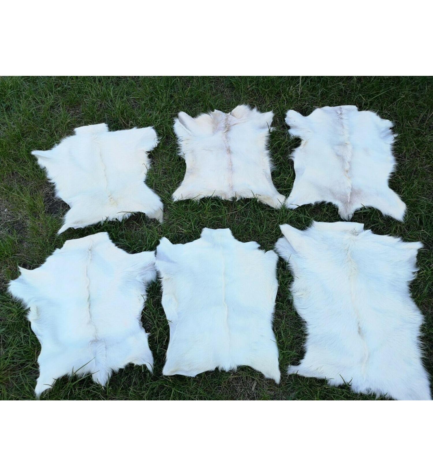 Provellus Goatskins Goat Fur No Odour Top Tanning Natural Bargain (Light Unit Price 50-70 cm) - Buy Online on GoSupps.com