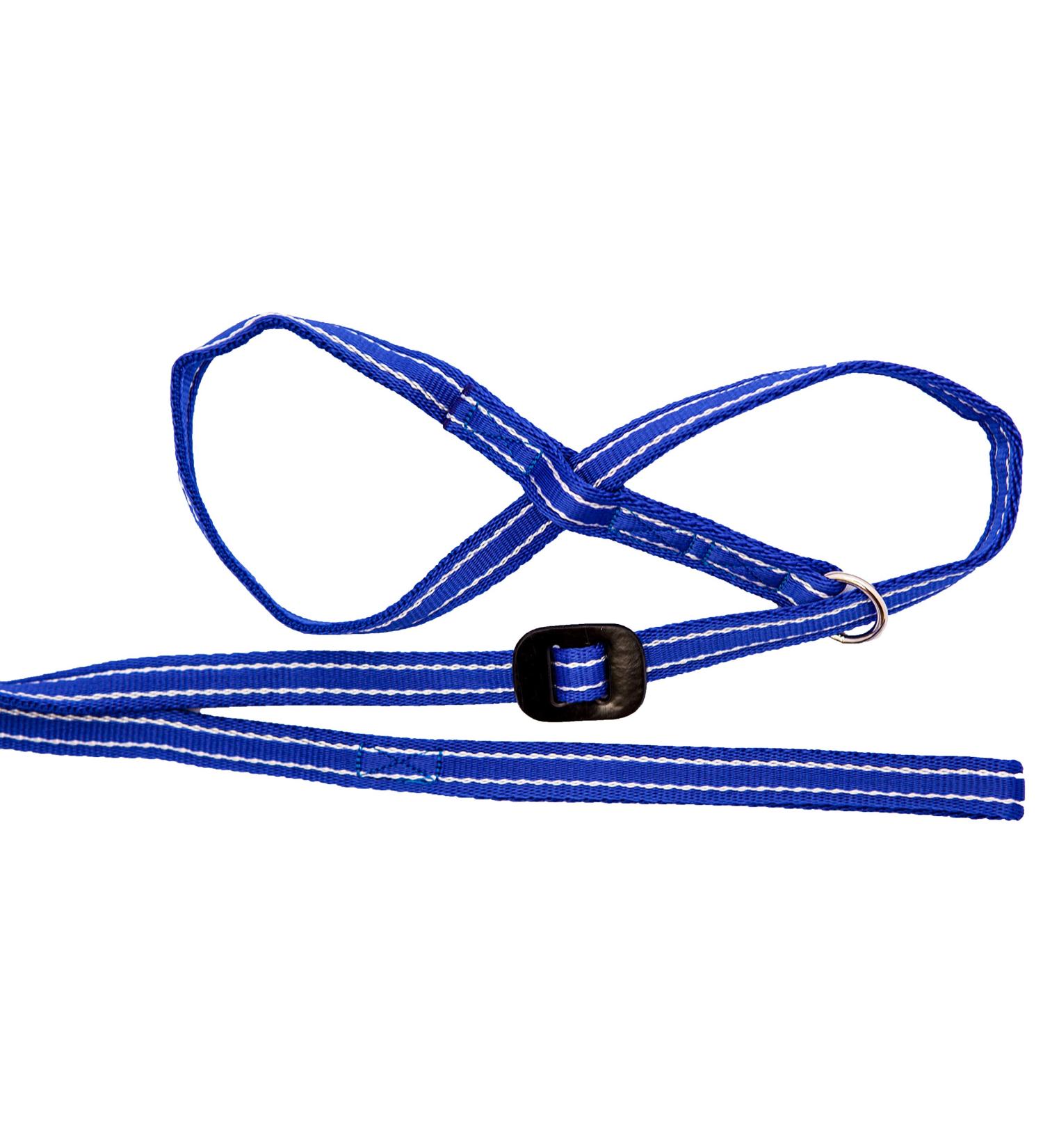 Gencon All-in-1 Headcollar and Lead Right-handed Blue/White - Buy Online on GoSupps.com