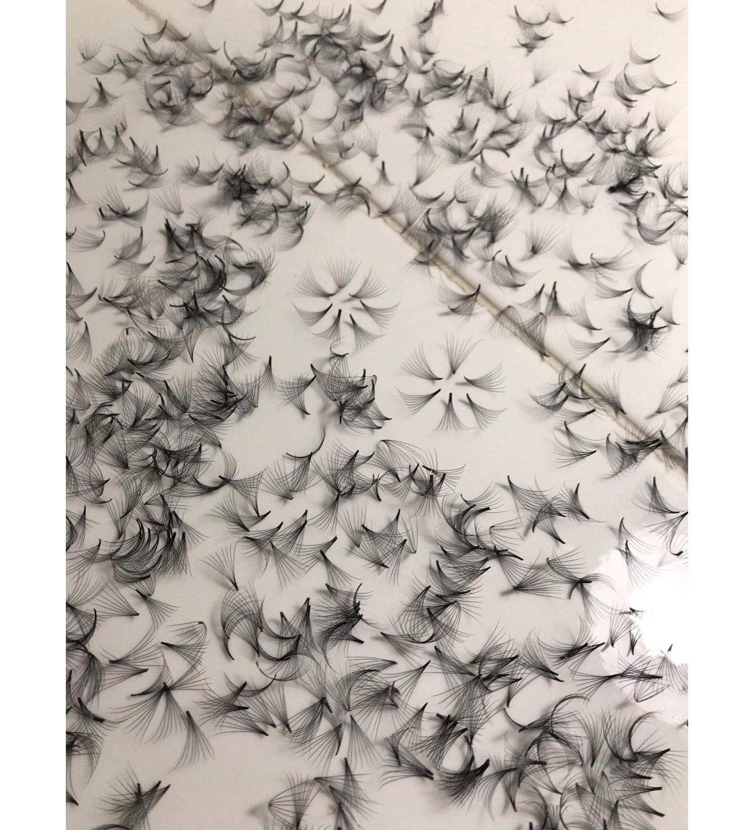 Lash by Holly 8D Premade Fan Lashes - C Curl D Curl M Curl 0.07mm 9mm-15mm | Perfect for Eyelash Extensions - 500 Fans/Tray - Buy Online on GoSupps.com