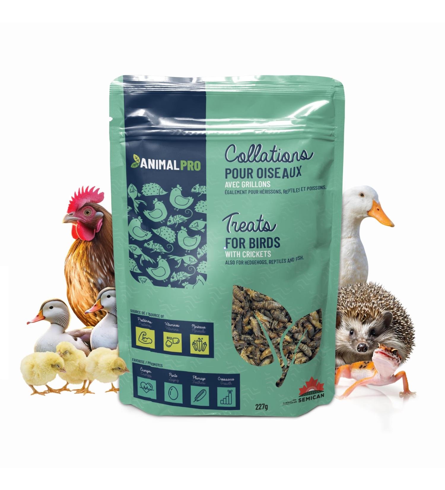 AnimalPro Crickets for birds 227 g - 0 5 LB - Buy Online on GoSupps.com