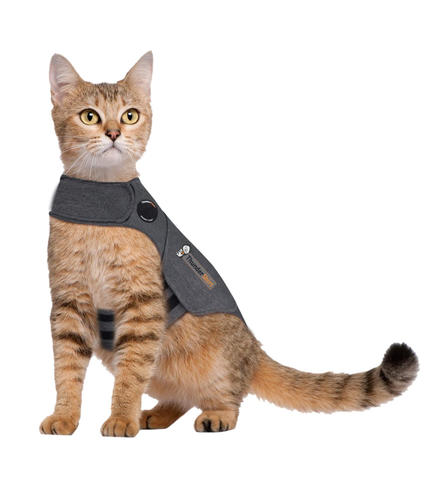 Thundershirt Classic Cat Anxiety Jacket - Vet Recommended Calming Solution for Fireworks, Thunder, Travel & Separation - Heather Gray, Medium (9-13 lbs) - Buy Online on GoSupps.com