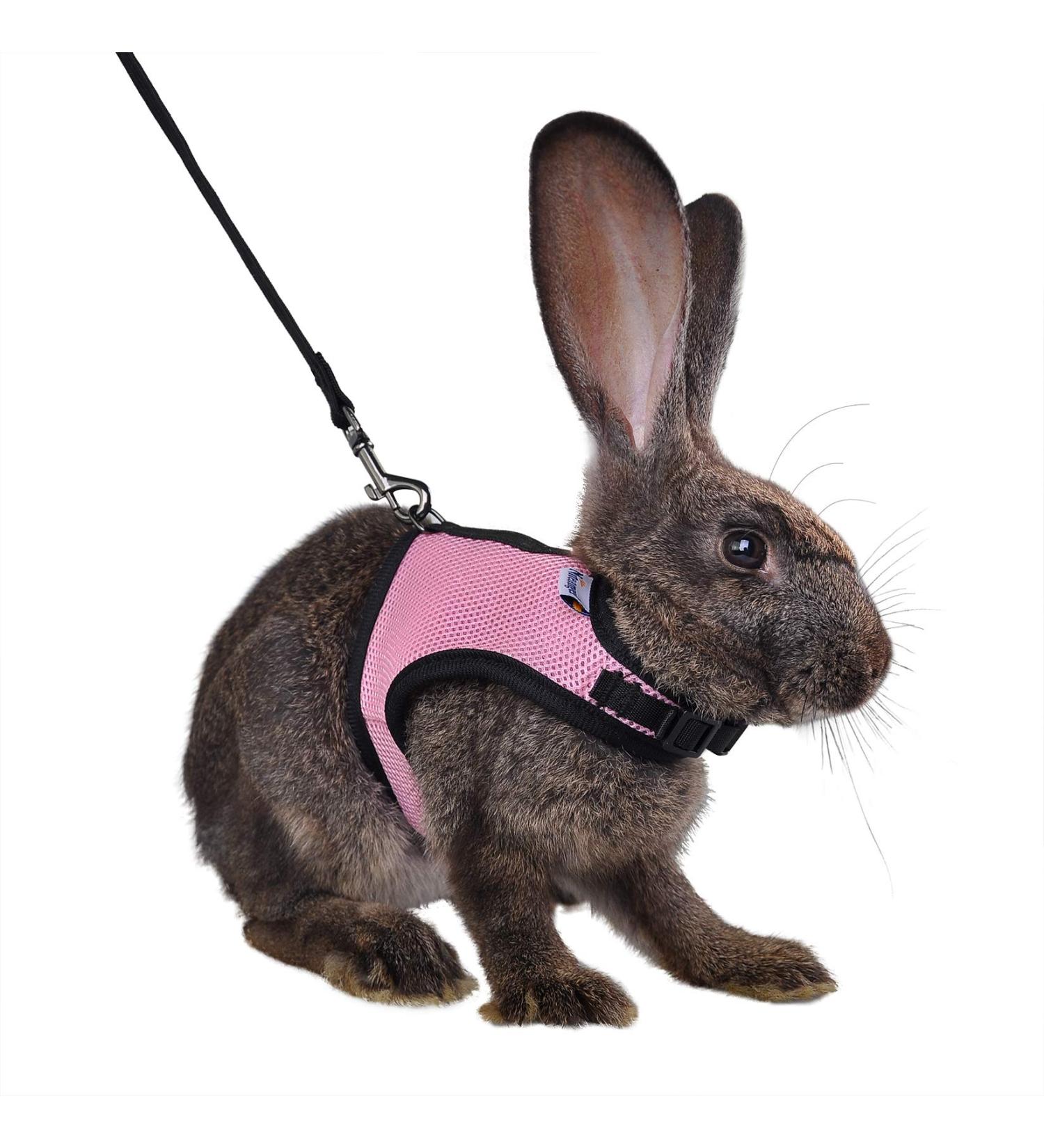 Niteangel Adjustable Soft Harness with Elastic Leash for Medium Rabbits - Pink | Comfortable & Safe Rabbit Apparel - Buy Online on GoSupps.com