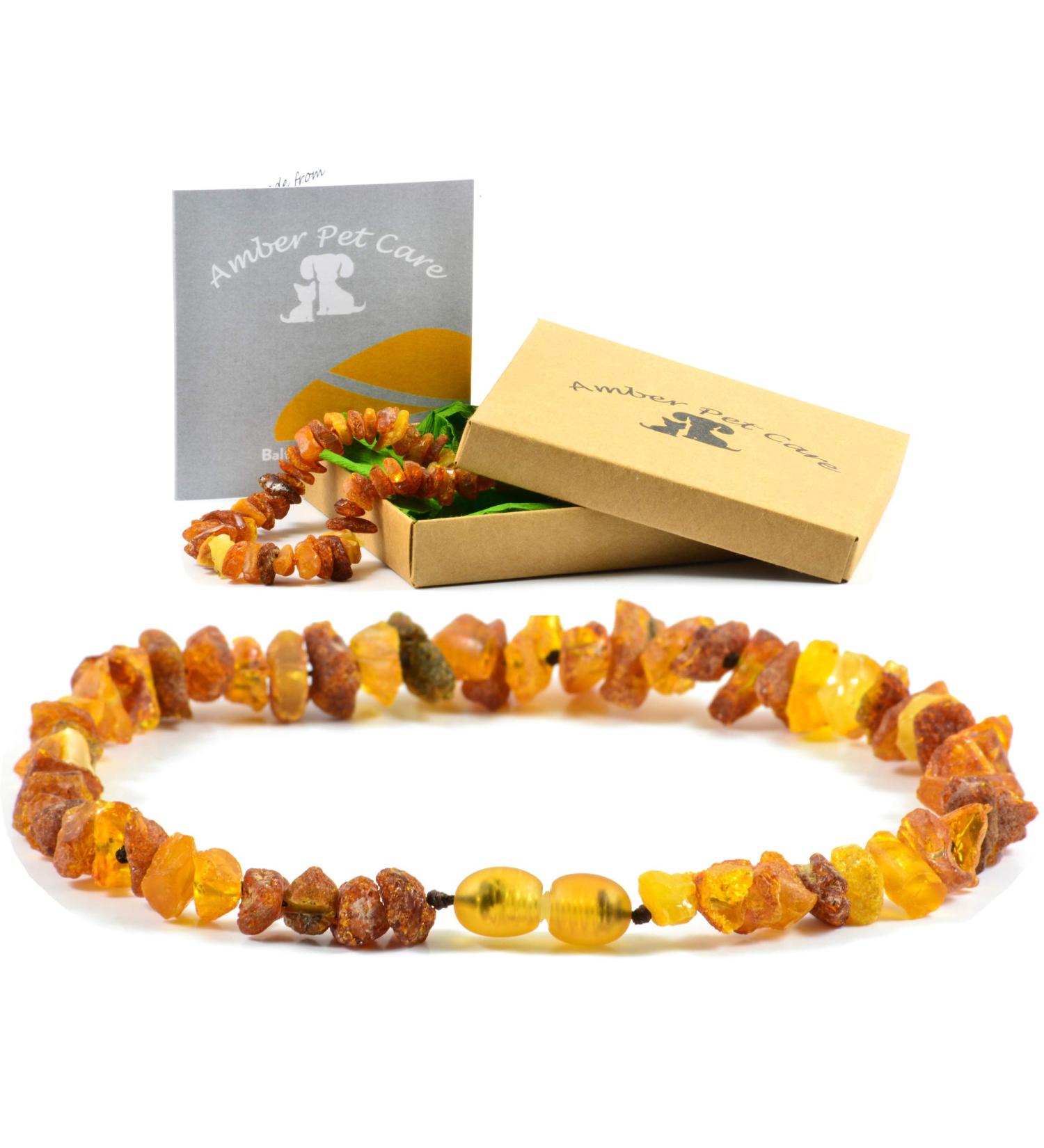AmberPetCare Raw Baltic Amber Necklace for Dogs & Cats Natural Healing & Style - Buy Online on GoSupps.com