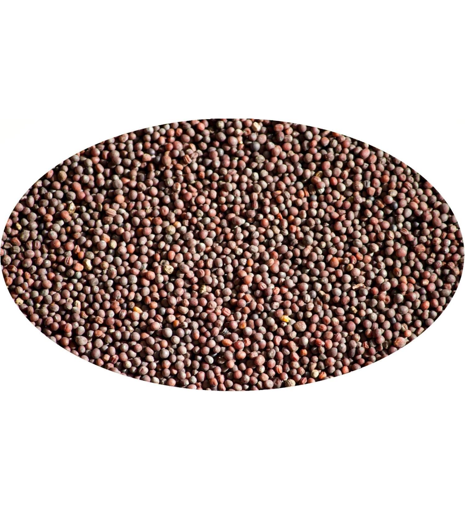 Eder Gew rze - Whole brown mustard seeds - 500 g - Buy Online on GoSupps.com