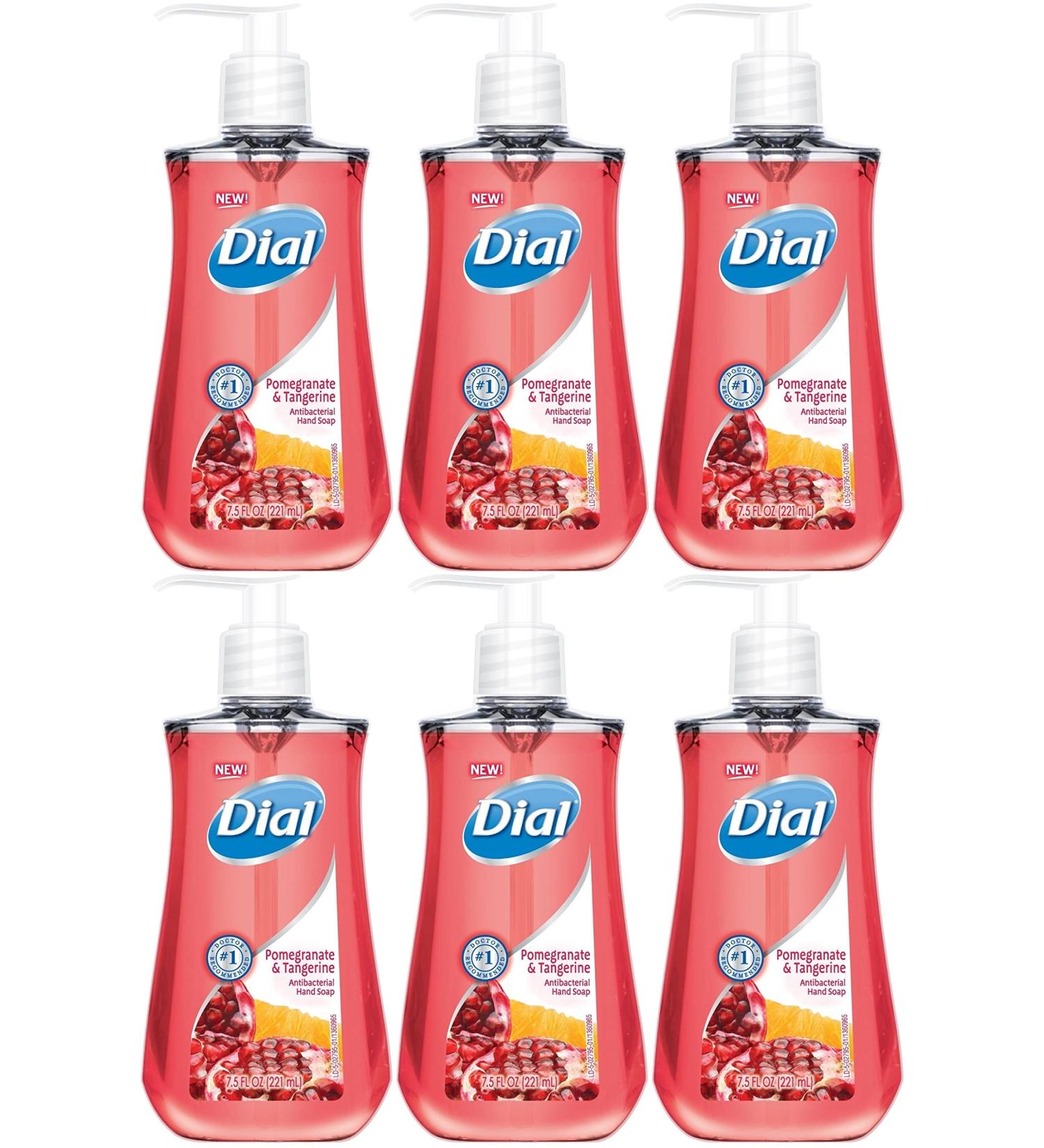 DIA02795 - Dial Pomegranate Antibacterial Hand Soap - 6 Pack