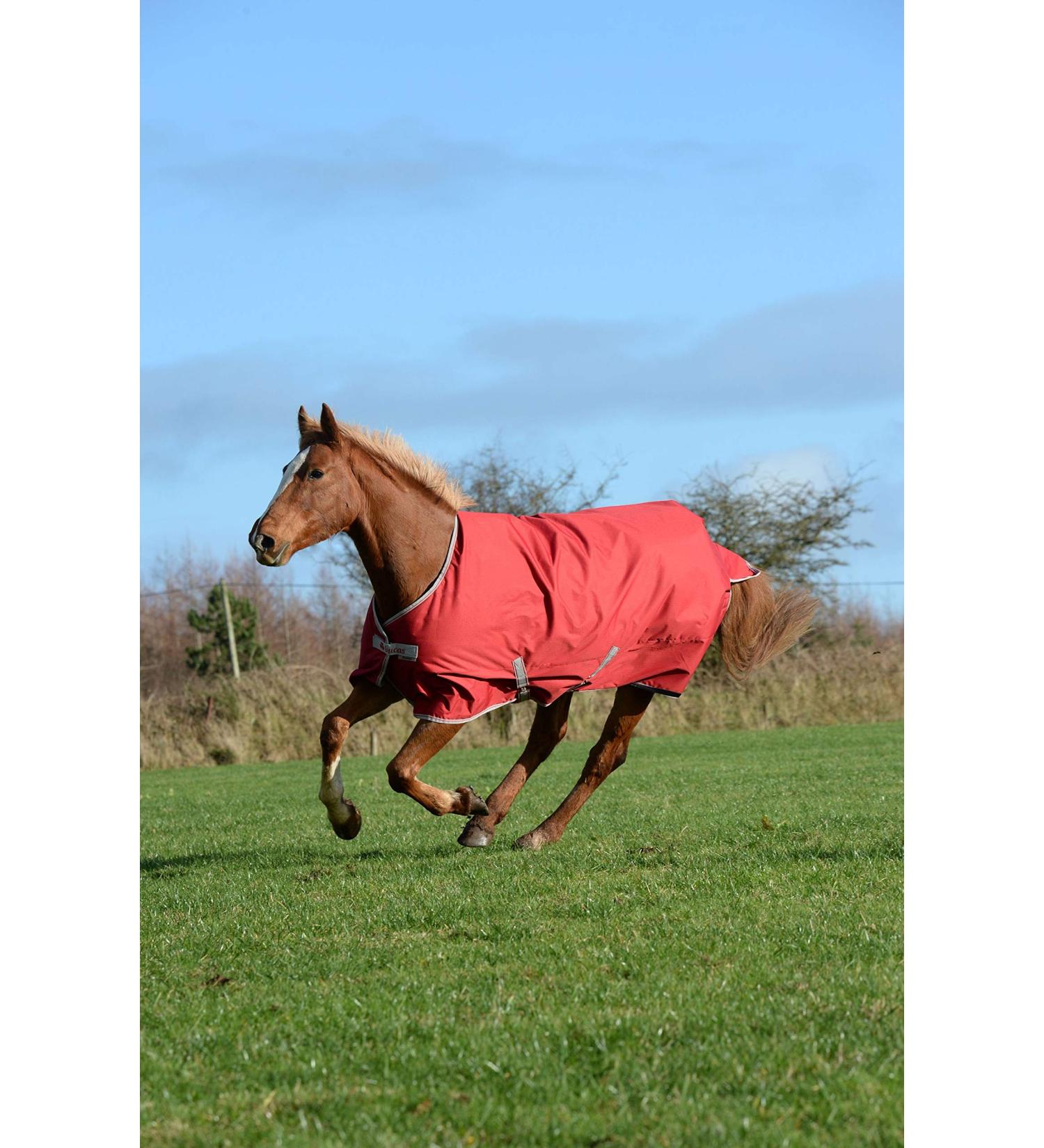 Bucas Freedom Turnout 300 g - Caf