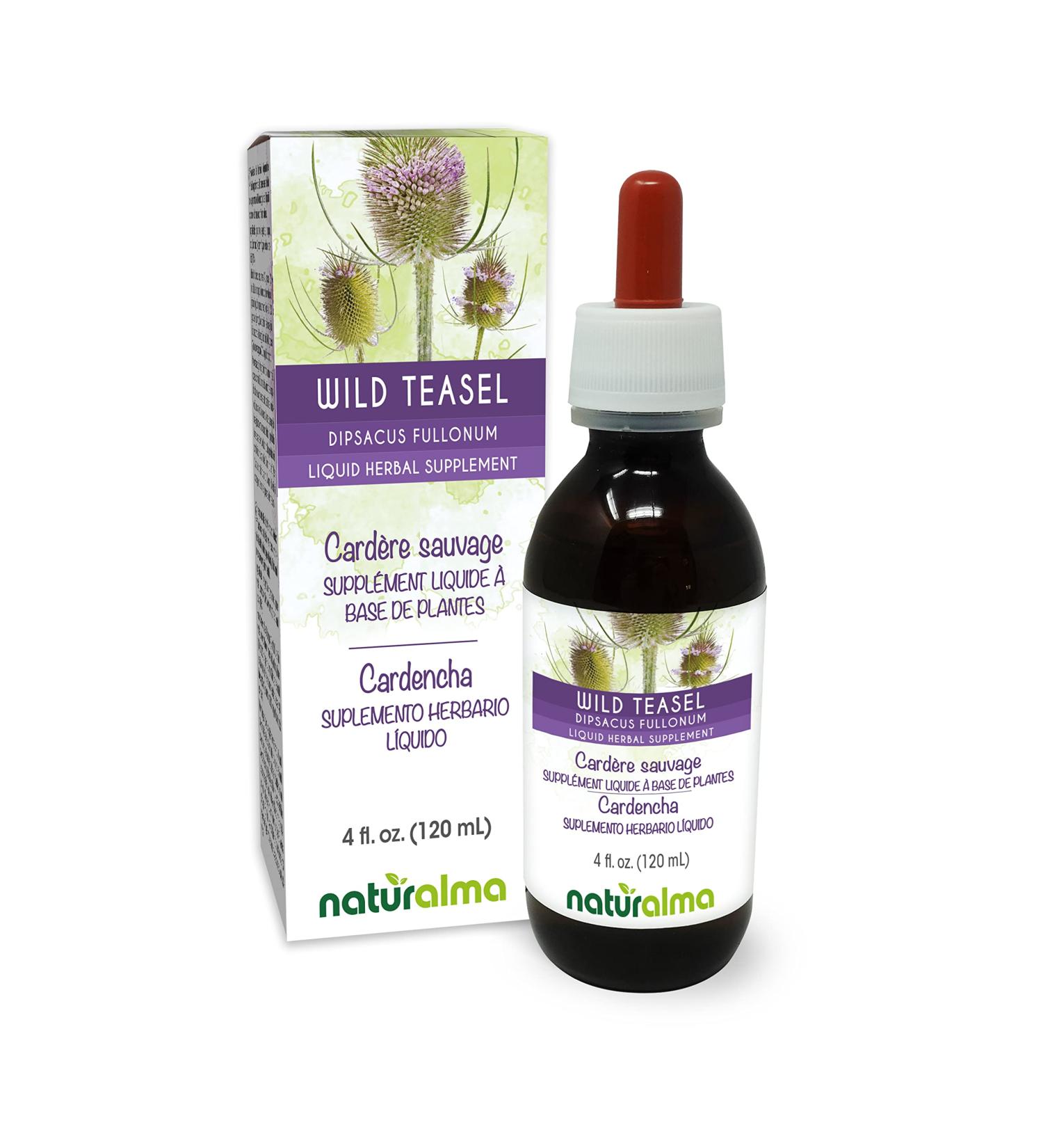 Naturalma Wild Teasel or Fuller's Teasel (Dipsacus fullonum or D. sylvestris) Root Alcohol-Free Tincture - 4 fl oz Liquid Extract in Drops - Herbal Supplement - Vegan Alcohol-free 4 Fl Oz (Pack of 1) - Buy Online on GoSupps.com