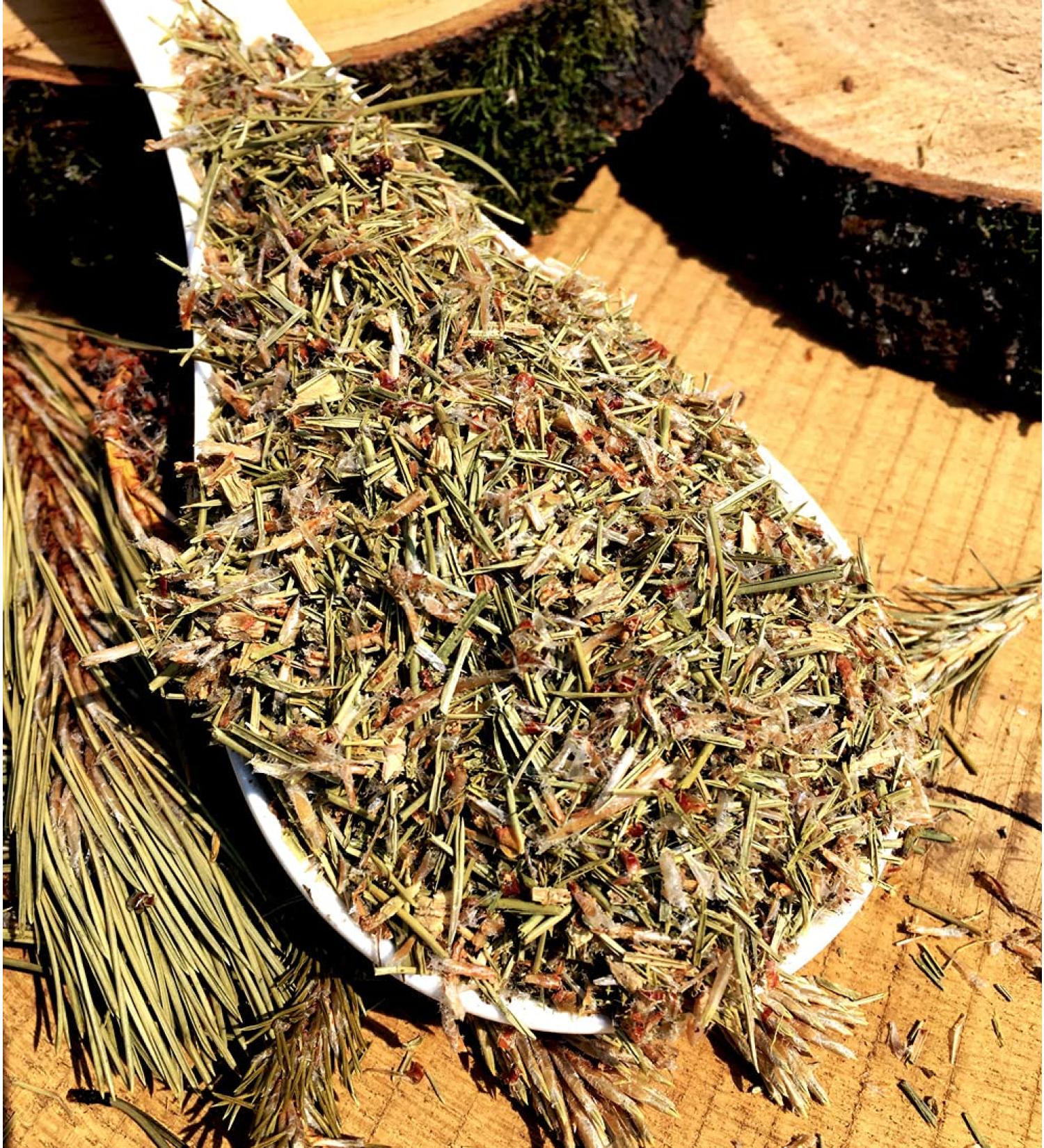 Naturix24 Pine Bud Herbal Tea 100g